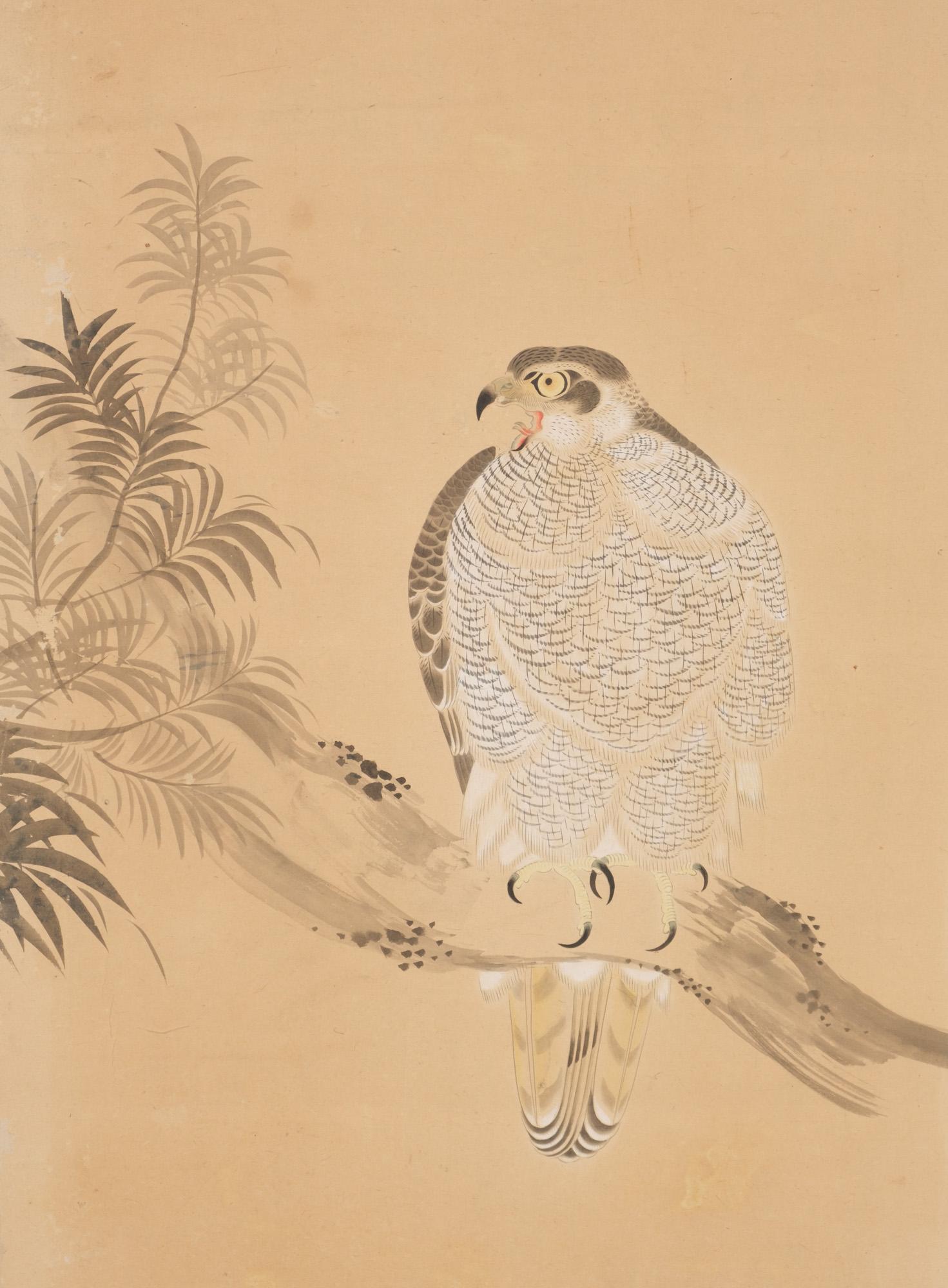 kanji taka