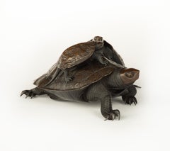 Large Japanese Bronze and Shakudo Okimono Turtles - Jomi Eisuke