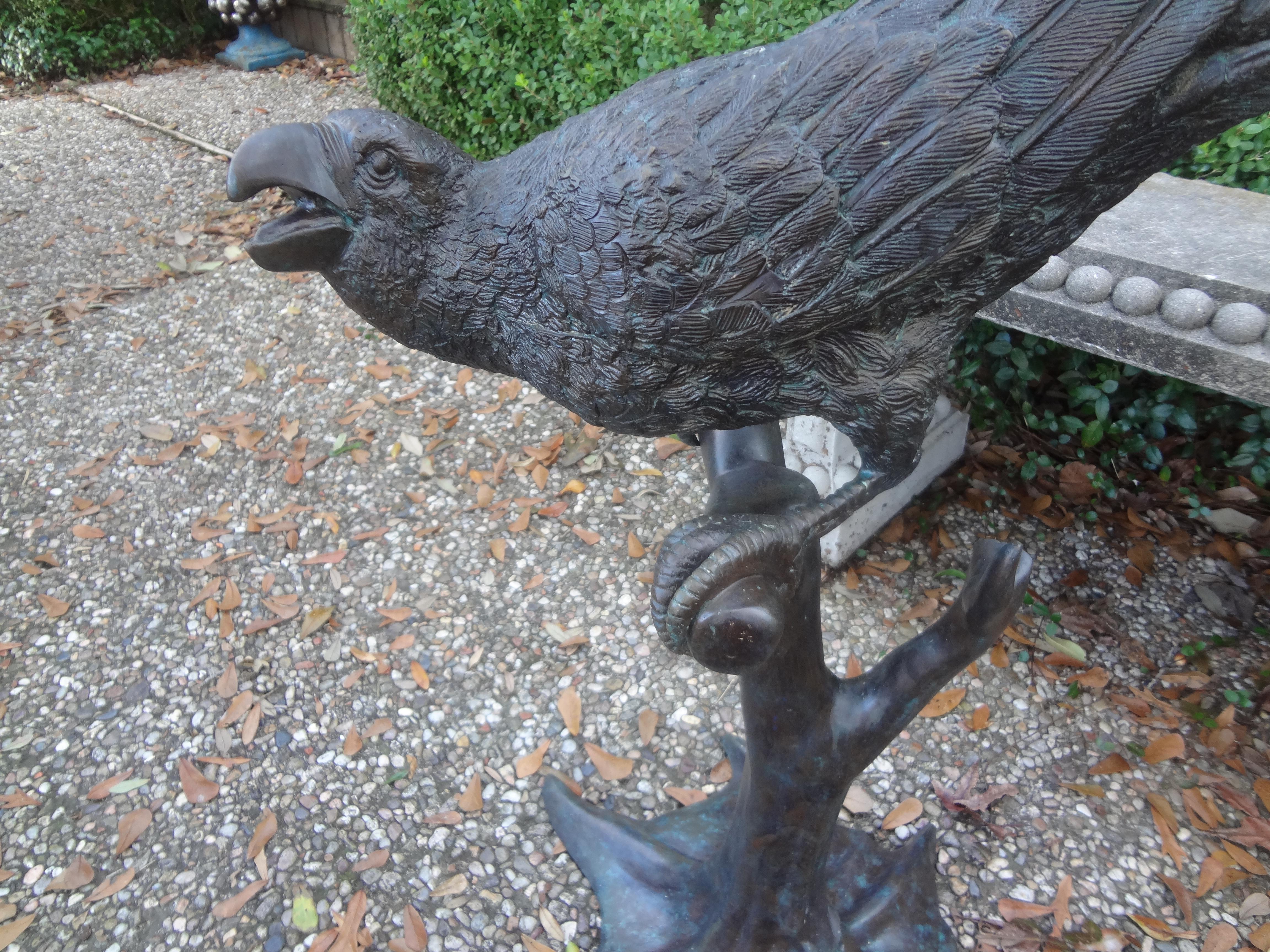 Large Japanese Bronze Macaw Parrot Sculpture-48 Inches.
Our Japanese bronze parrot sculpture or Macaw sculpture is beautifully detailed and can be used indoors or outdoors in a garden setting.
Stunning!