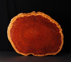 Large Japanese Burl Wood Shikiita Display Stand, 20th Century