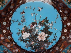 Large Japanese Dish in Cloisonné Enamels, Japan 19th Century