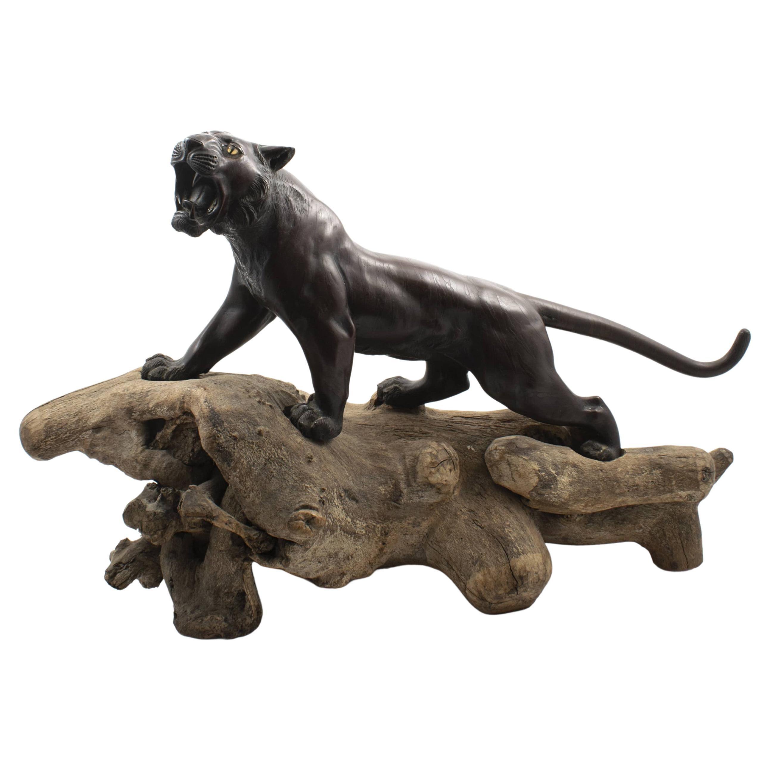 Large Japanese Tiger in Patinated Bronze, Signed. MEIJI / TAISHO For Sale