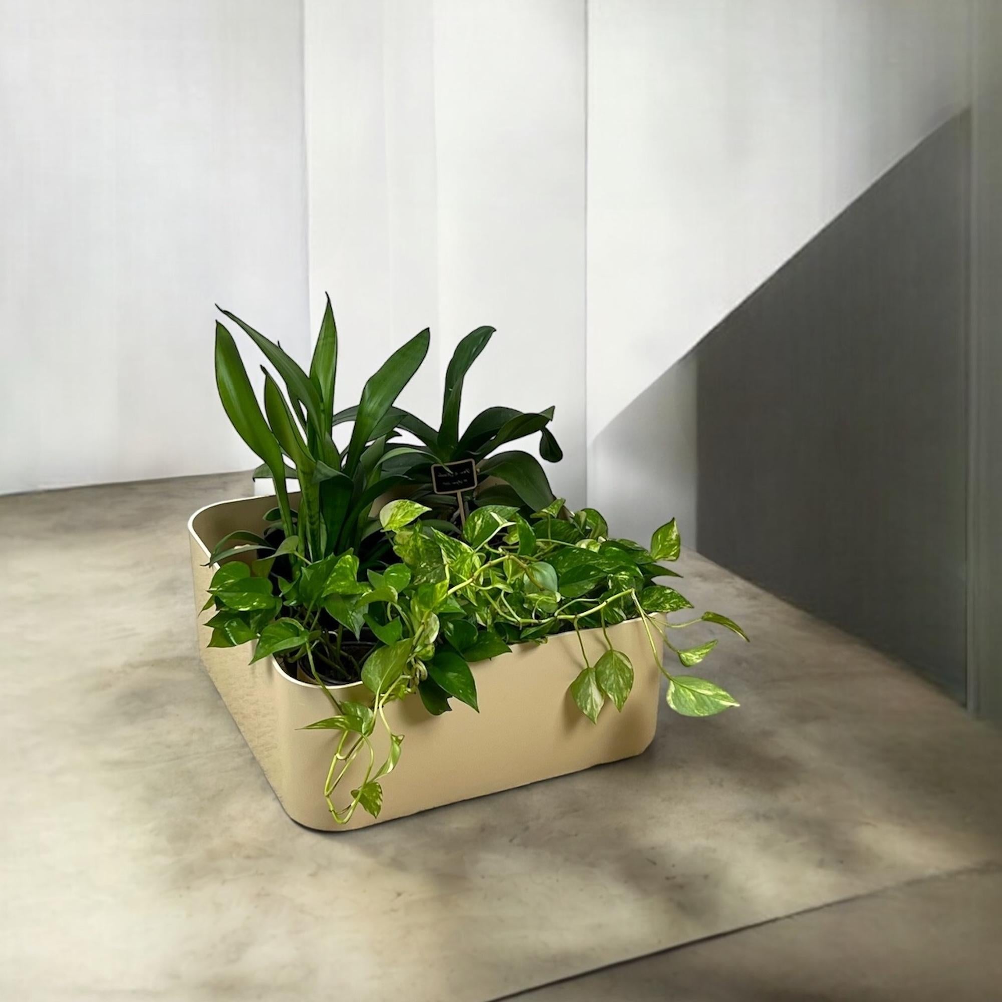 Plastic Large Kartell Planter Container 4682  from Anna Castelli, 1960s For Sale