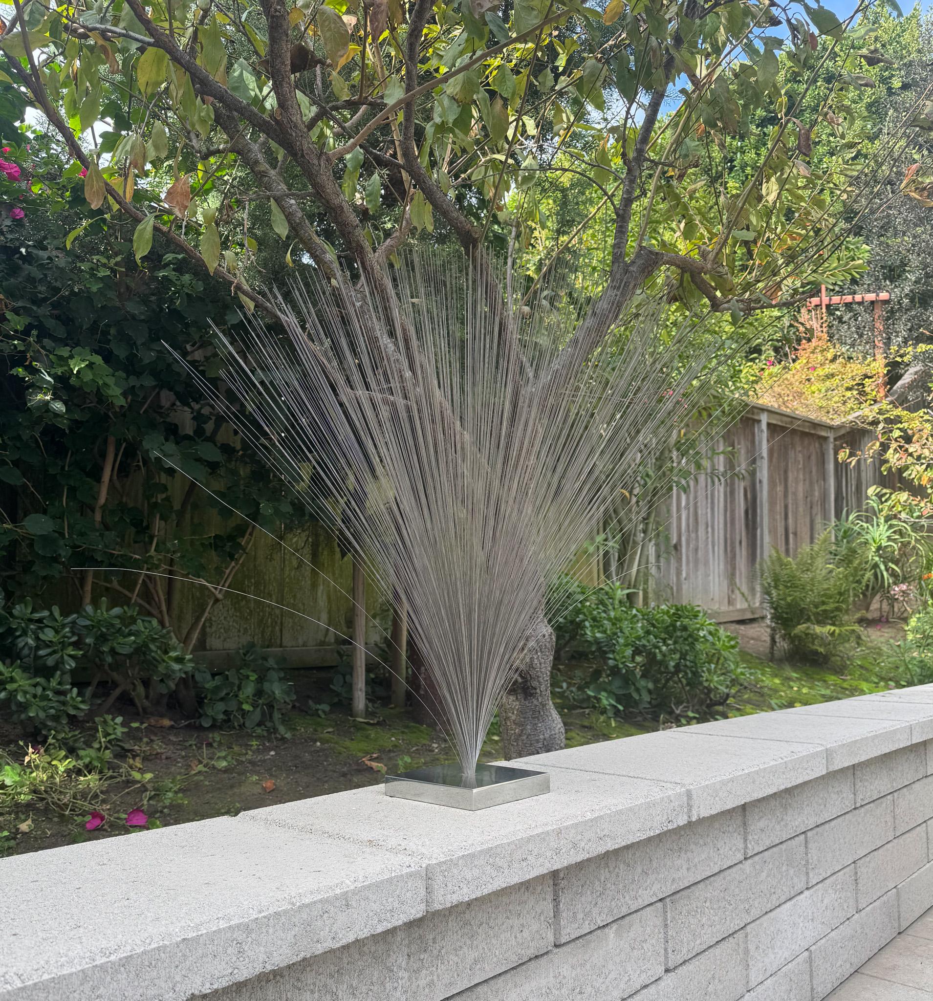 Large Kinetic Spray Sculpture in the style of Harry Bertoia, c.1970 For Sale 3