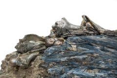 Großes großes Kyanit- Mineral mit Blattsilber-Muscheln, Kyanit- und Barockperlen verziert