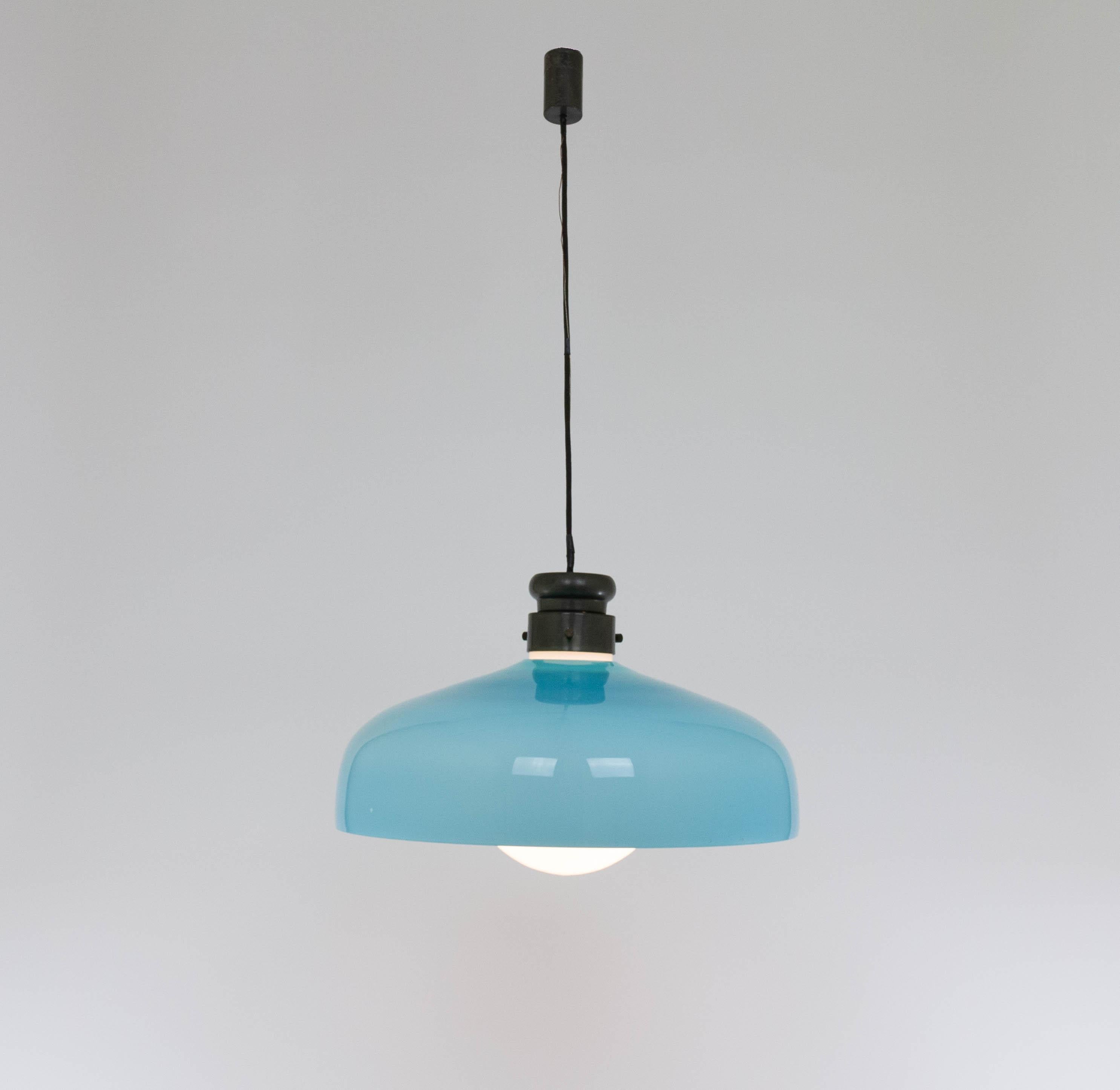 Mid-Century Modern Large L 72 Glass pendant by Alessandro Pianon for Vistosi, 1960s For Sale