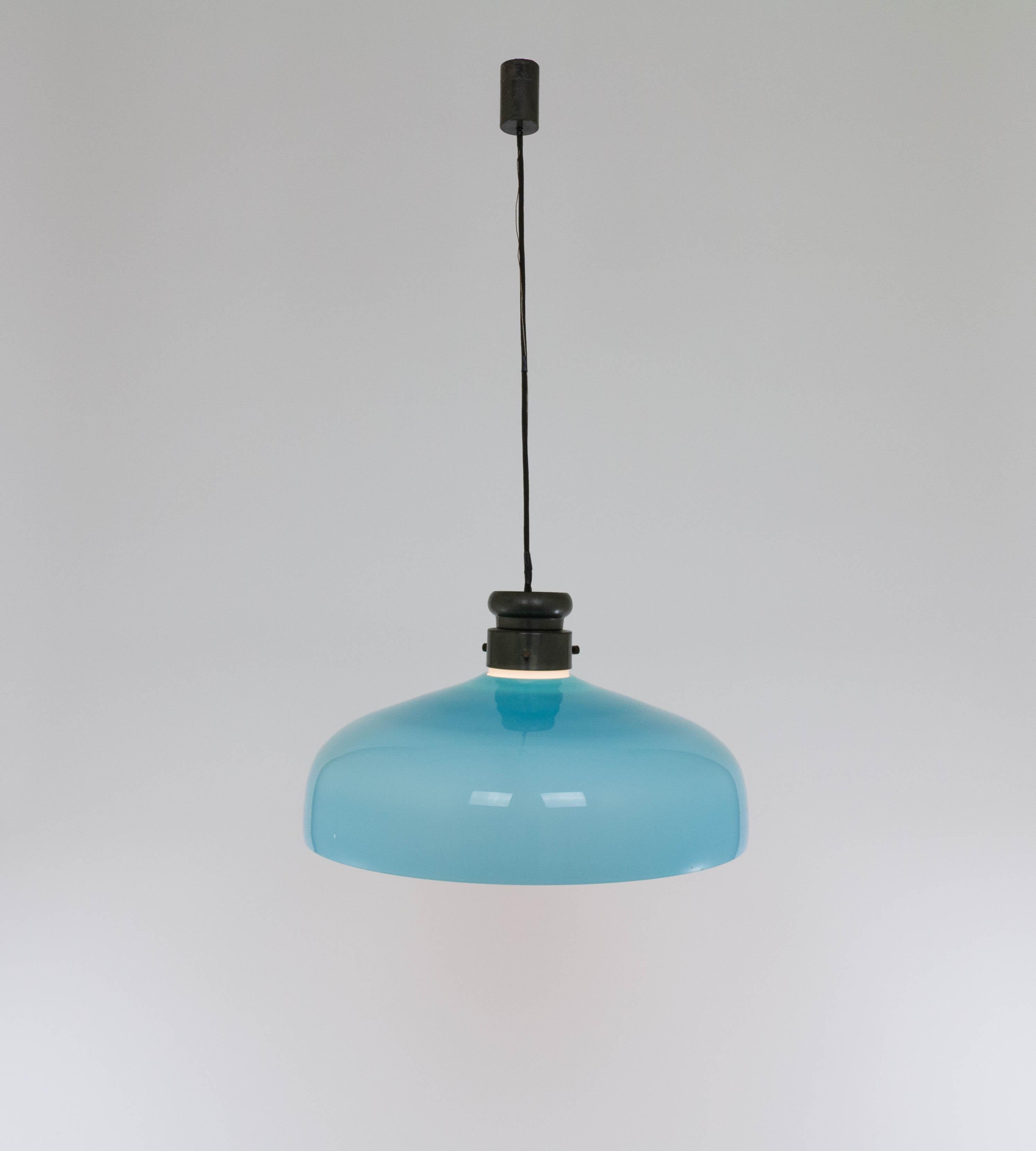 Large L 72 Glass pendant by Alessandro Pianon for Vistosi, 1960s For Sale 2