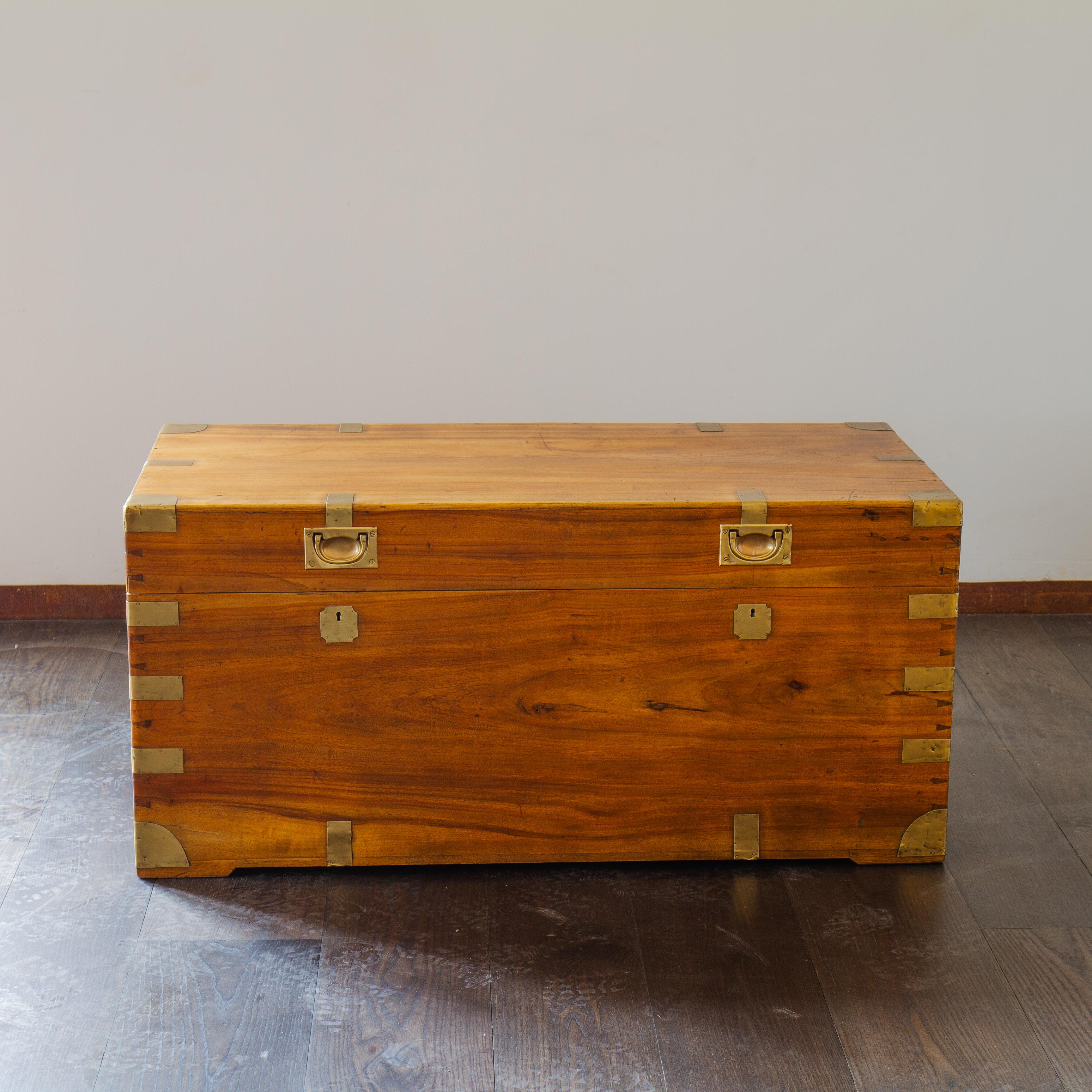 Large Late 19th Century Brass Bound Camphor Wood Trunk 3