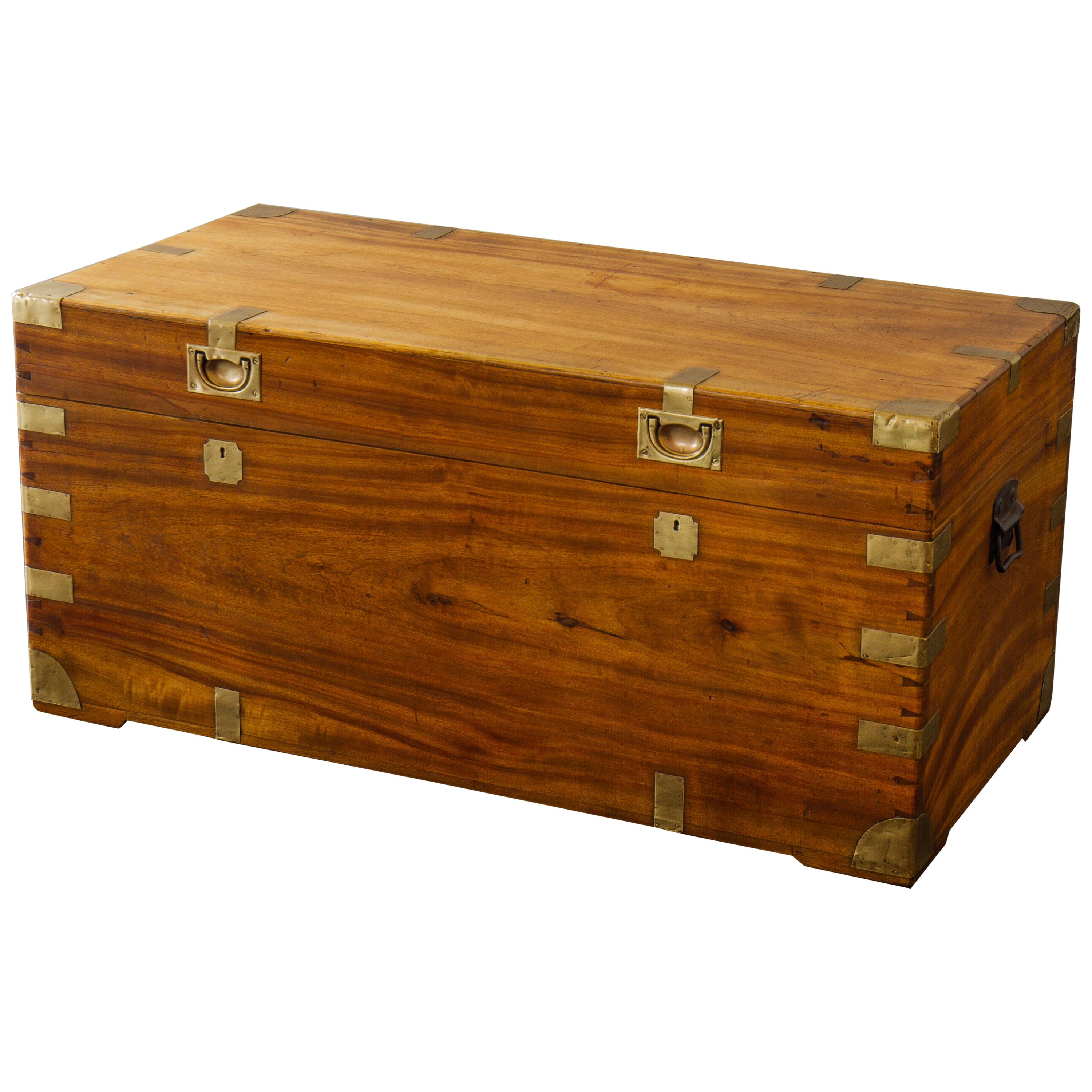 Large Late 19th Century Brass Bound Camphor Wood Trunk