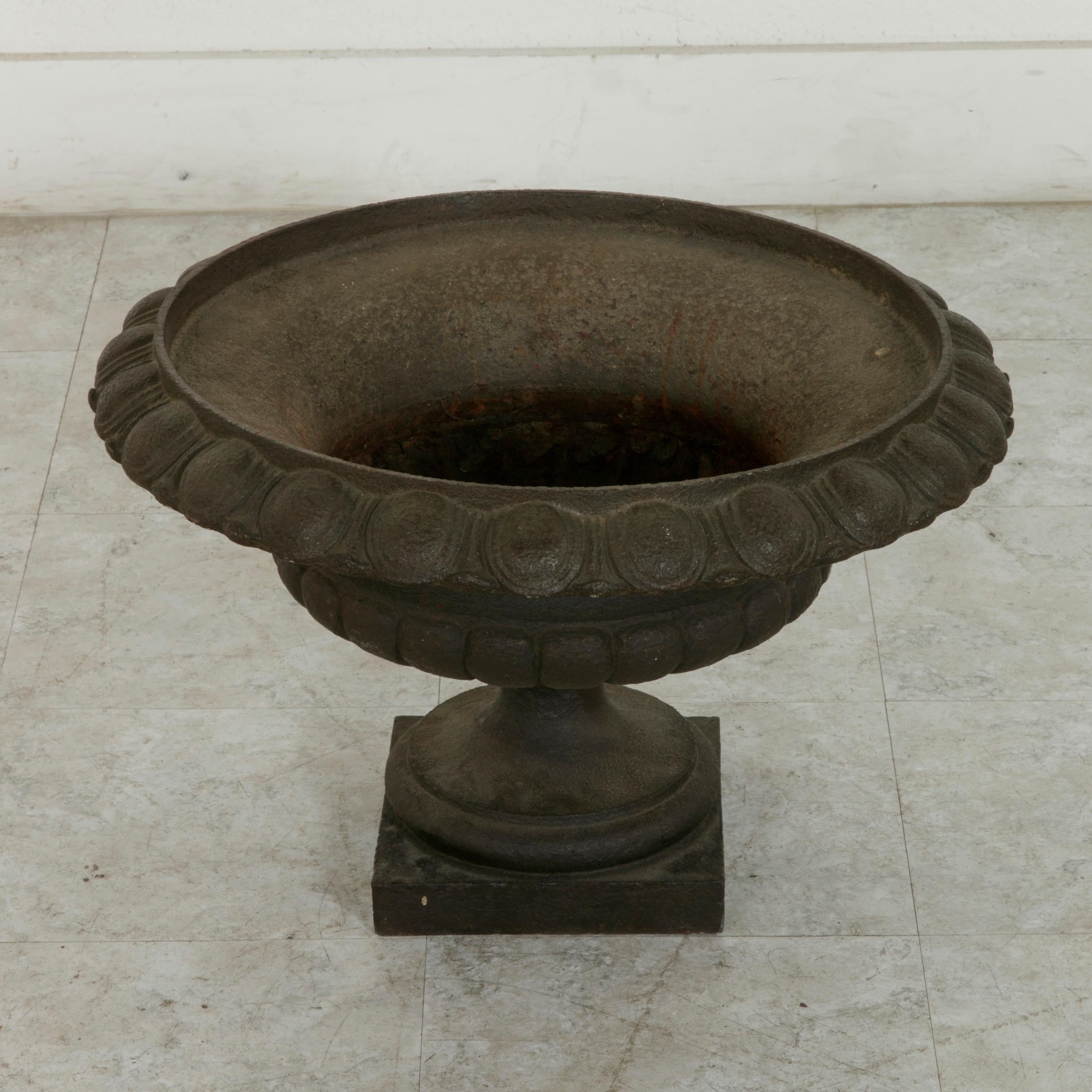 Measuring 23 inches in diameter, this large French cast iron garden urn, or planter from the late nineteenth century features a scalloped egg and dart pattern rim. Resting on an 8 and a half inch square base, this piece is ready to grace any