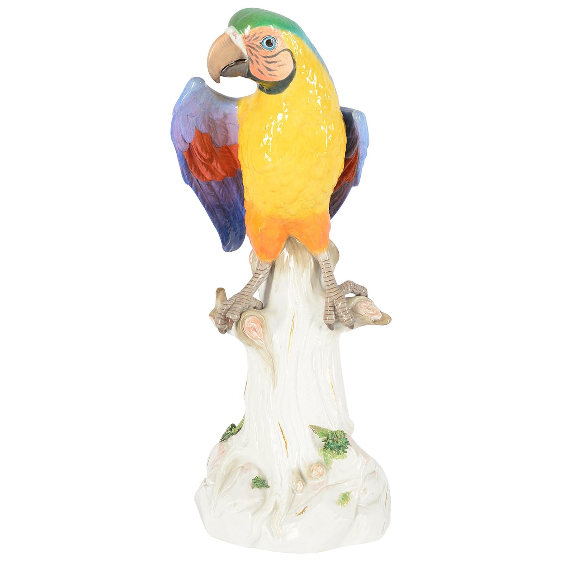 Large Late 19th Century Meissen Parrot