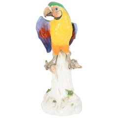 Large Late 19th Century Meissen Parrot