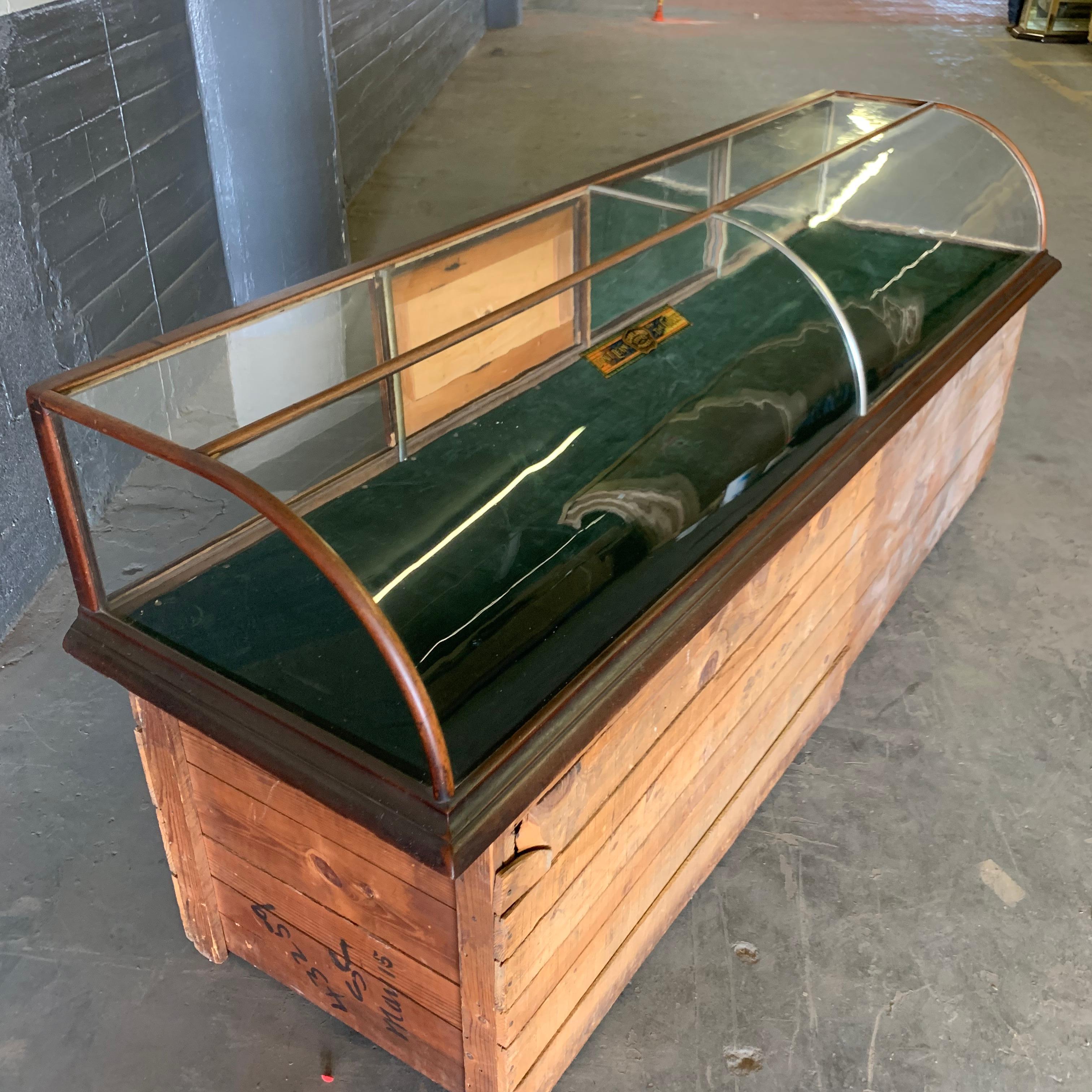 Large Late Victorian Shop Display Case, Museum, Collector’s Cabinet 3