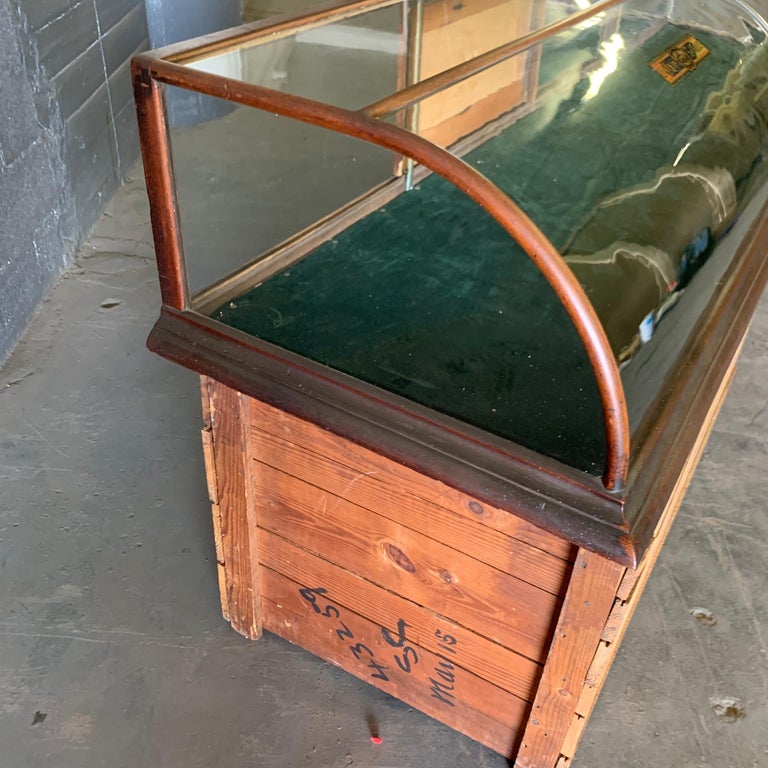Large Late Victorian Shop Display Case, Museum, Collector’s Cabinet For Sale 7