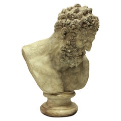 Large Library Bust of Hercules