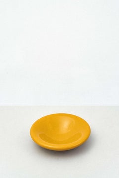 Large Liquidish in Yolk by Vincent de Rijk