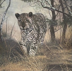 Large Charles Fracé Lithograph titled "Lone Hunter", African Leopard Certified