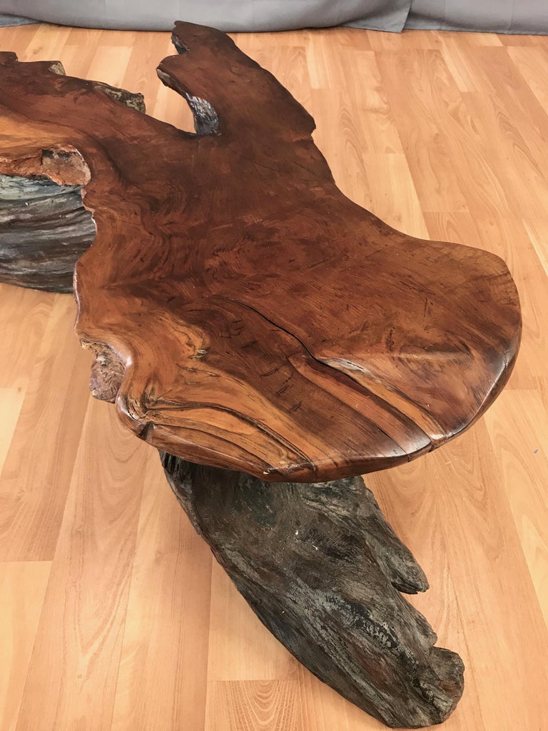 Large Live Edge California Redwood Burl Coffee Table, 1970s at 1stDibs