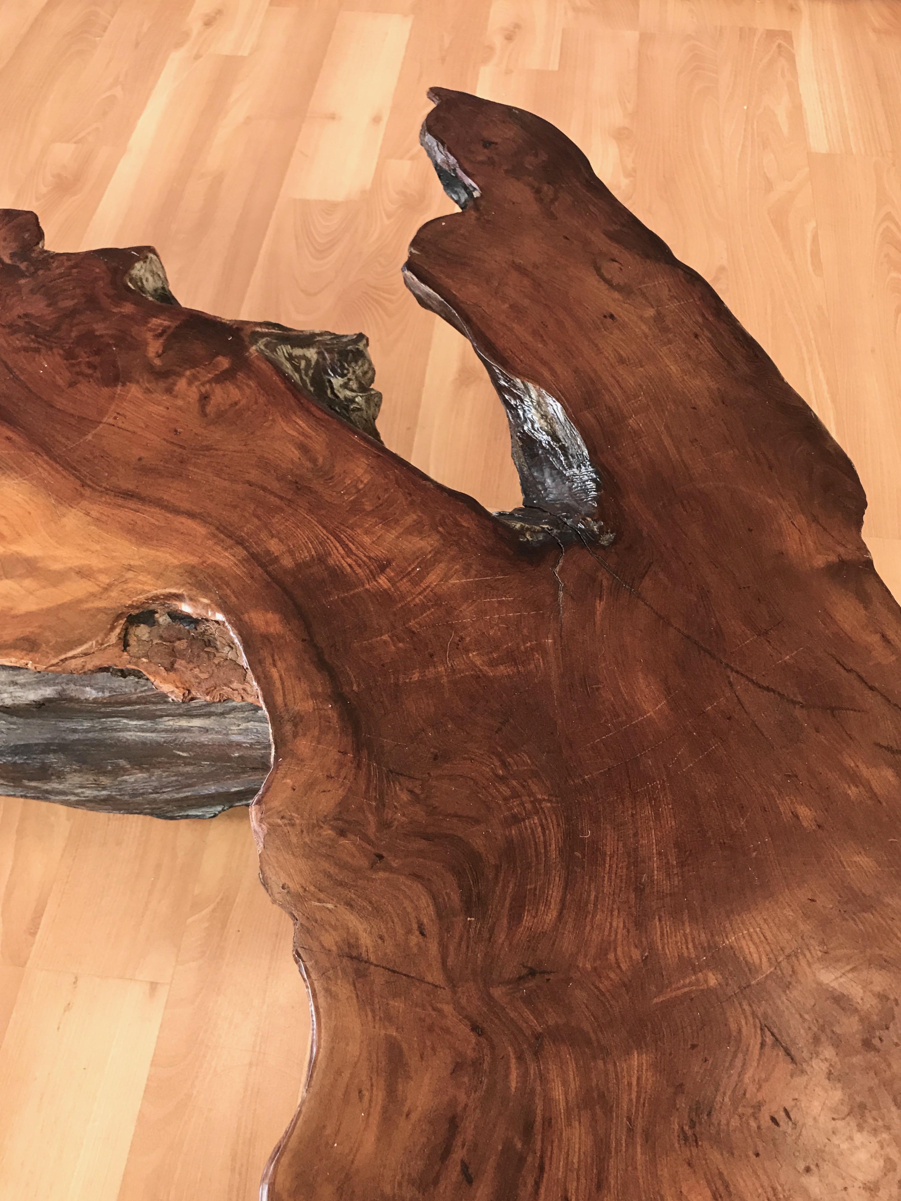 Large Live Edge California Redwood Burl Coffee Table, 1970s 3