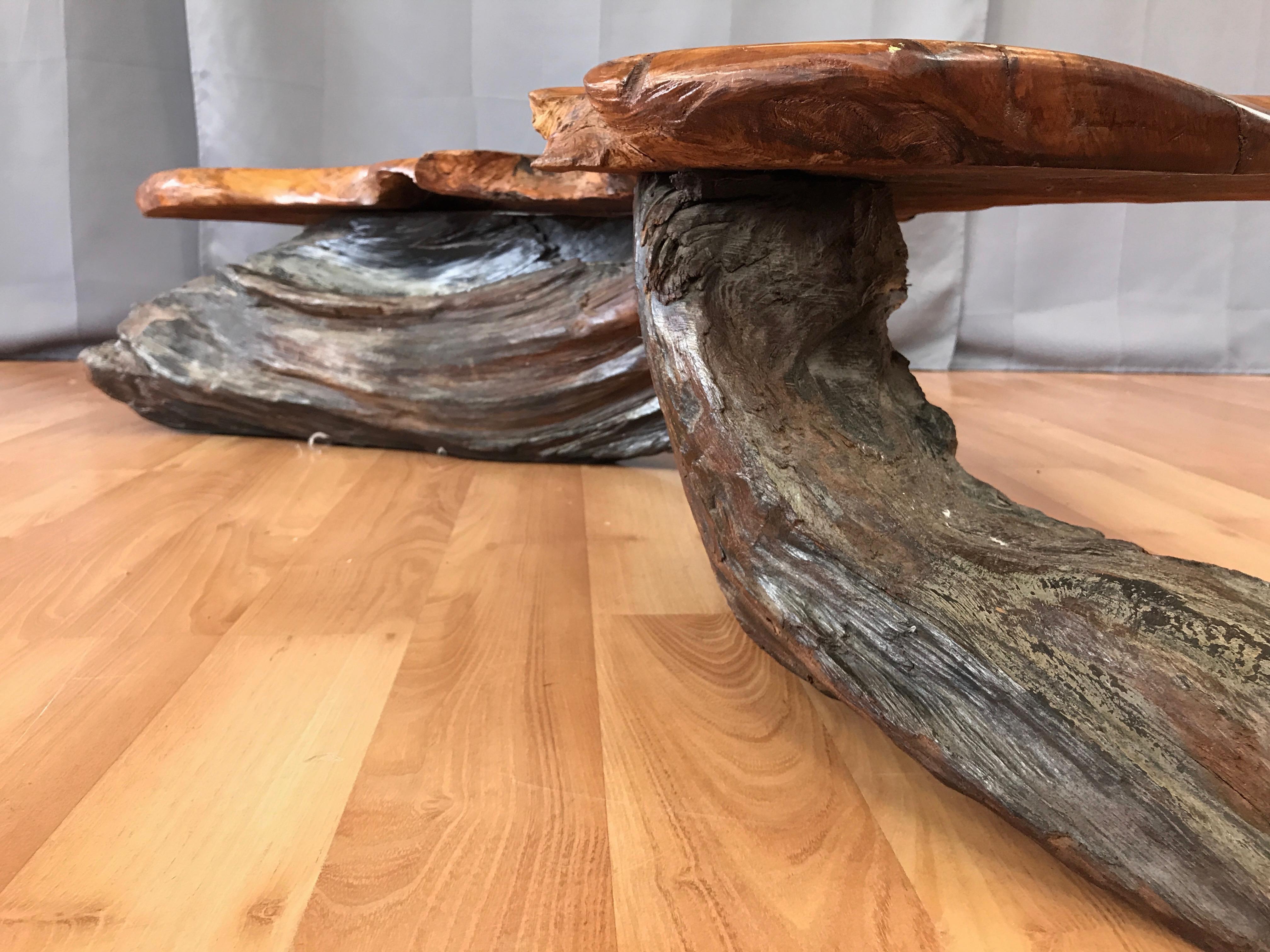 Large Live Edge California Redwood Burl Coffee Table, 1970s 5