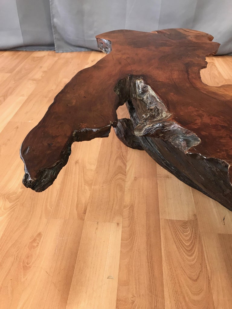 Large Live Edge California Redwood Burl Coffee Table ...