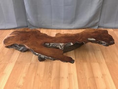Large Live Edge California Redwood Burl Coffee Table, 1970s