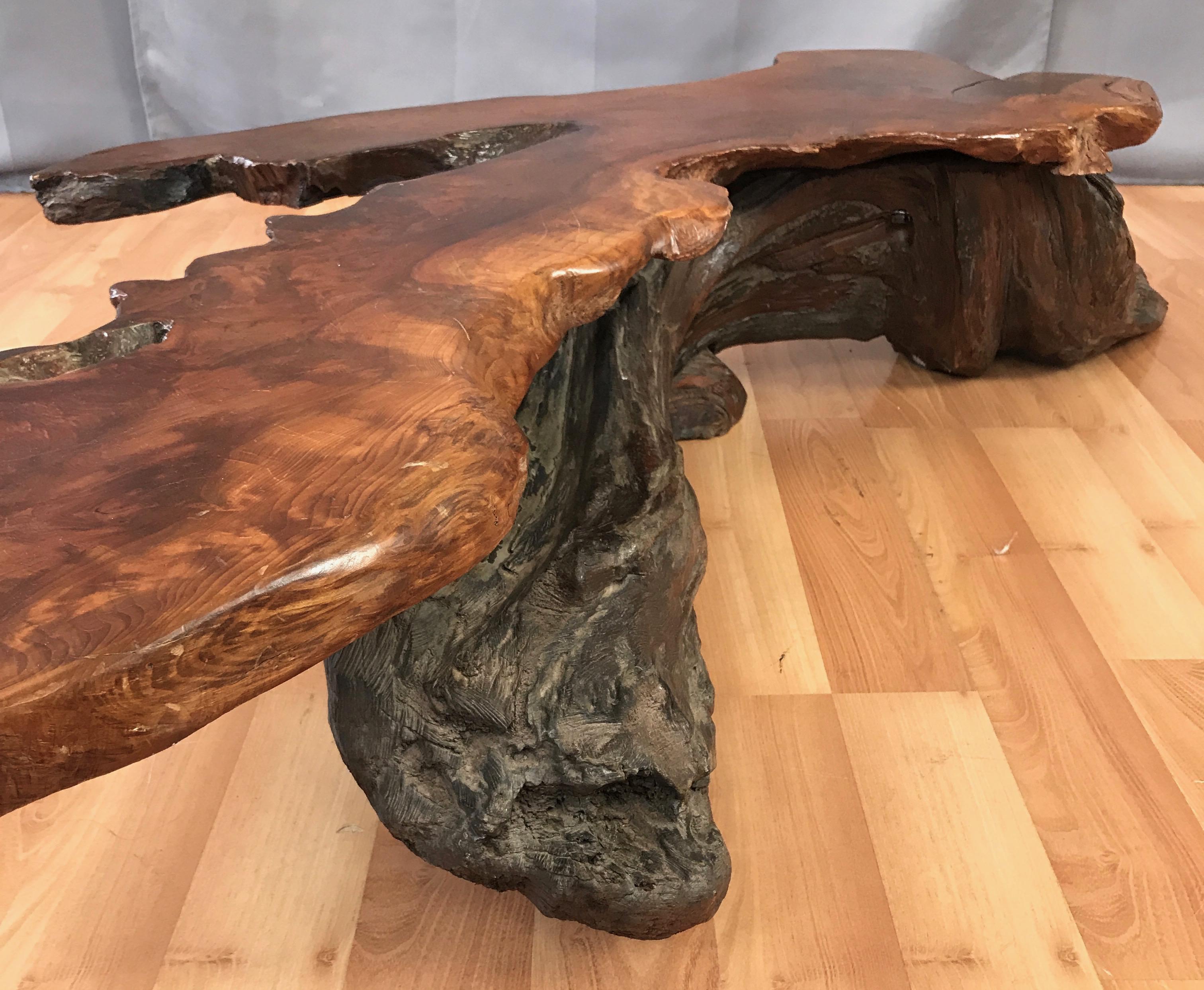 Late 20th Century Large Live Edge California Redwood Burl Coffee Table, 1970s