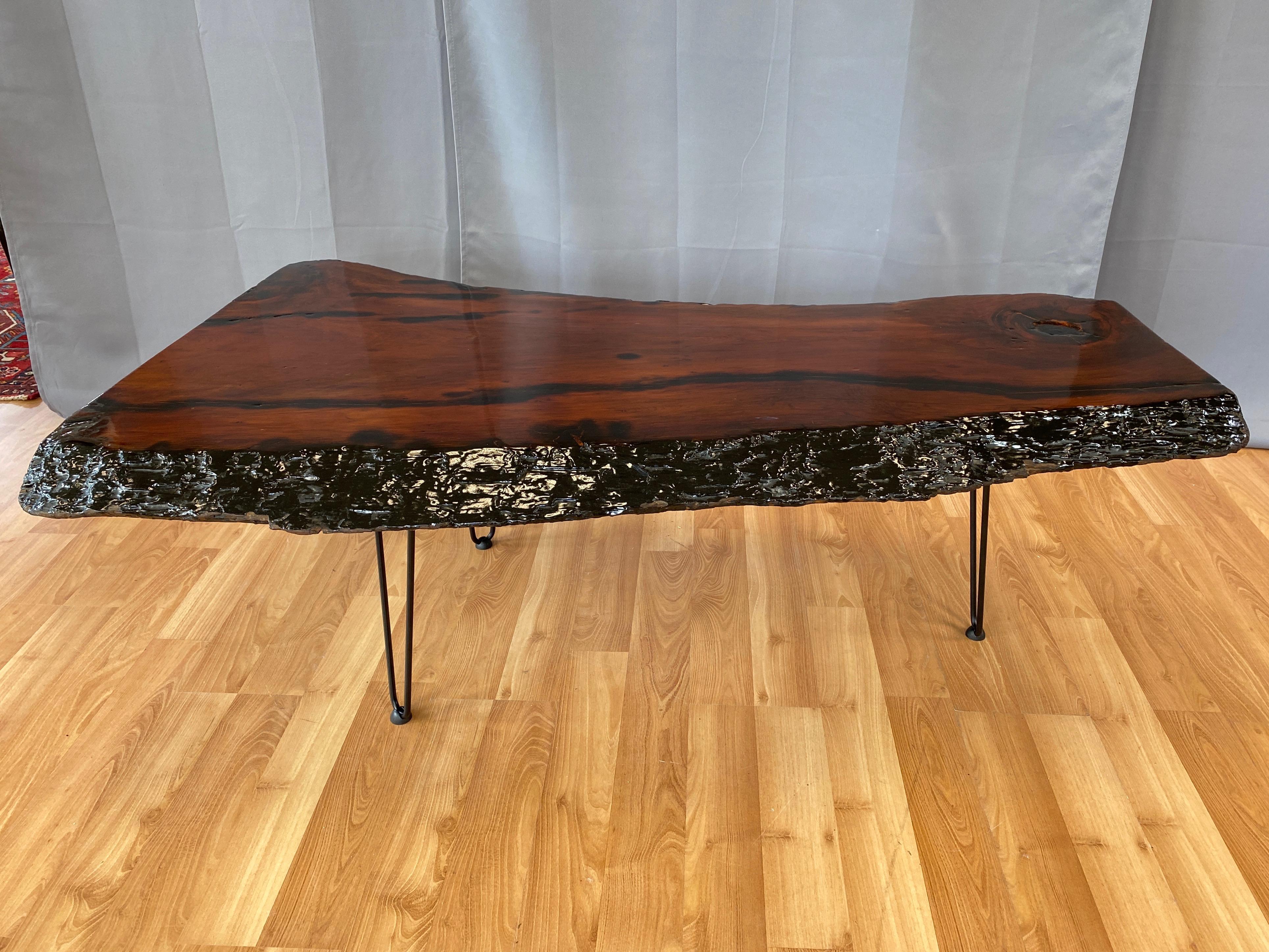 A very striking and substantial 1970s live edge redwood slab coffee table on black hairpin legs.

Impressive five-foot-long, two-inch-thick slab of richly toned old growth redwood with charred bark edges and blackened internal fissures. Oversized