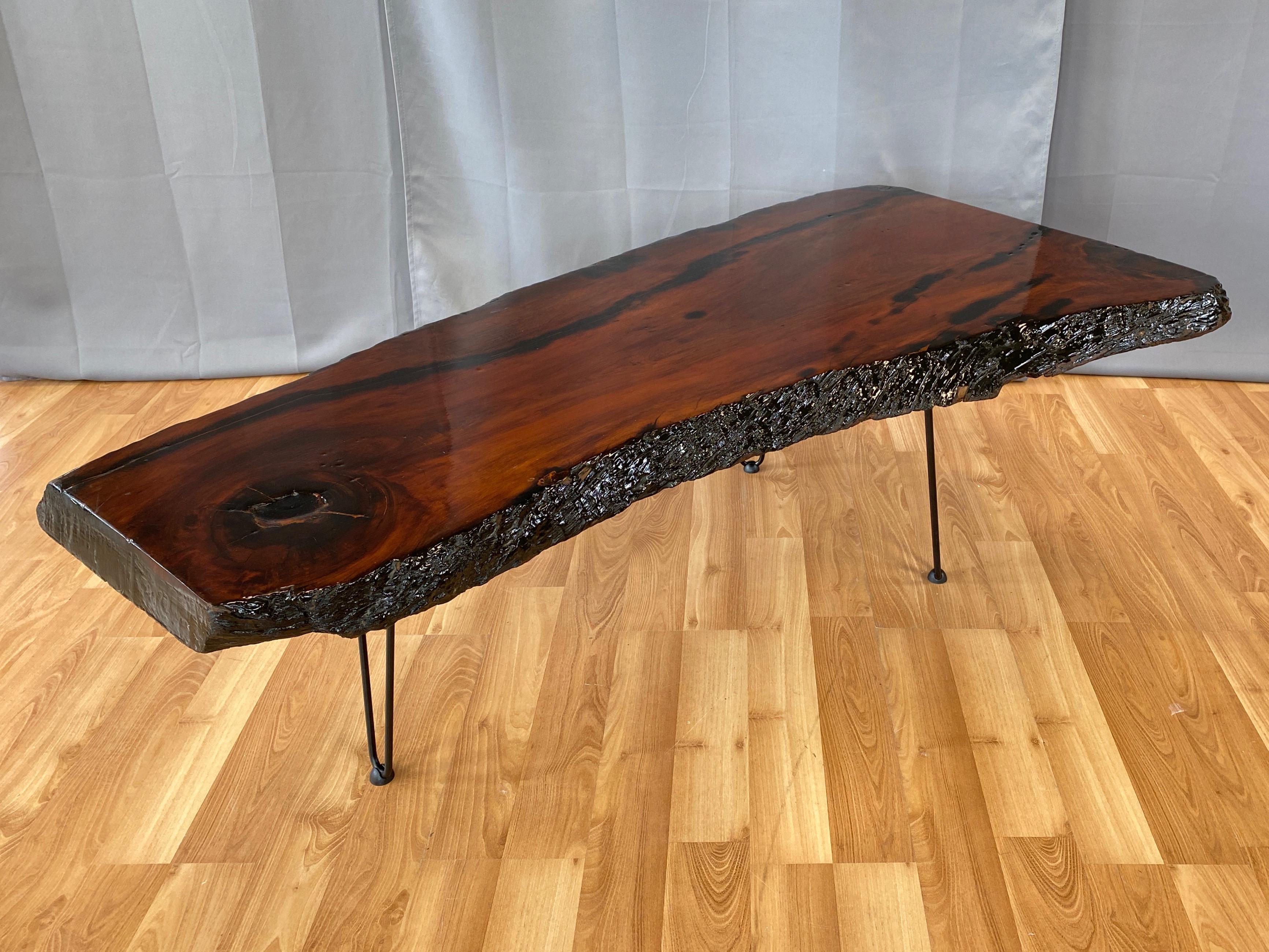 Large Live Edge Redwood Slab Coffee Table on Hairpin Legs, 1970s In Good Condition In San Francisco, CA