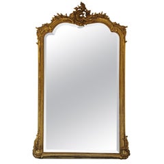 Large Louis XV Rocaille Style Mirror in Wood and Golden Stucco