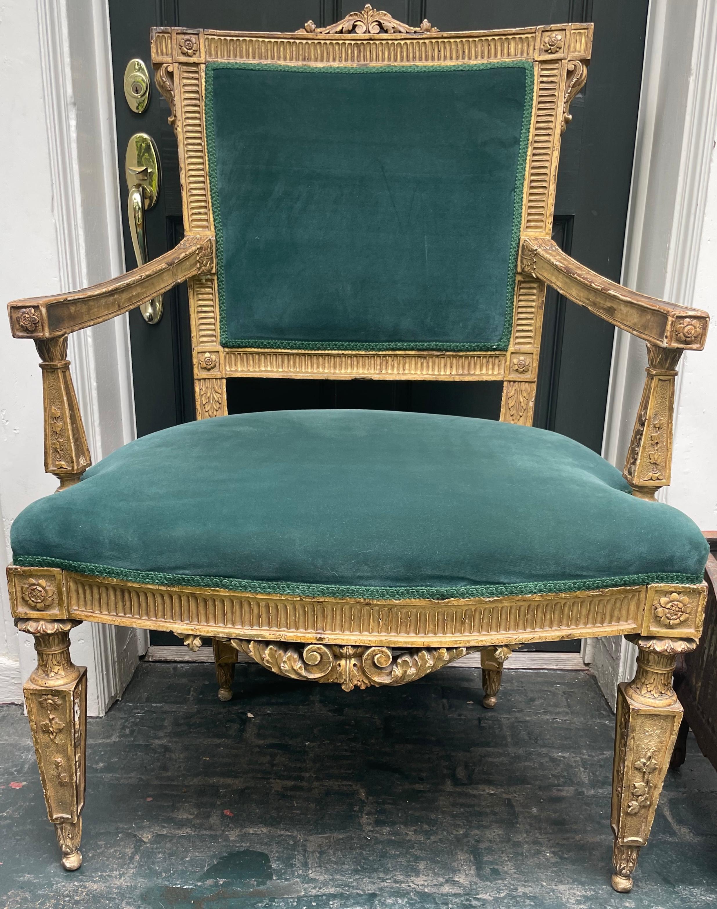 Large Louis XVI gilt carved open armchair. Handsomely carved and proportioned neoclassical fauteuil in deeply burnished gilding with wide and deep seat and broad gently curved back. Acanthus scroll elements at top of back and beneath front of seat,