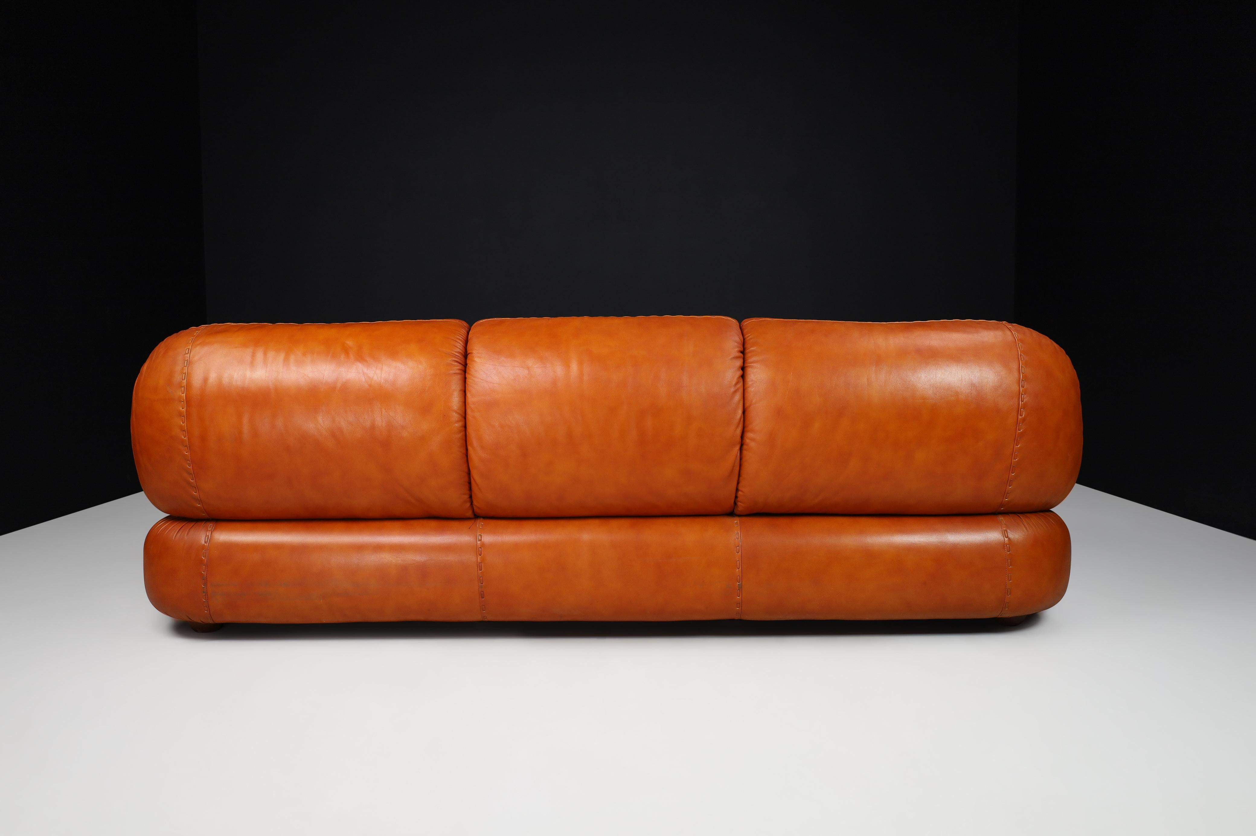 Large Lounge Sofa in Cognac Leather by Sapporo for Mobil Girgi, Italy, 1970  2