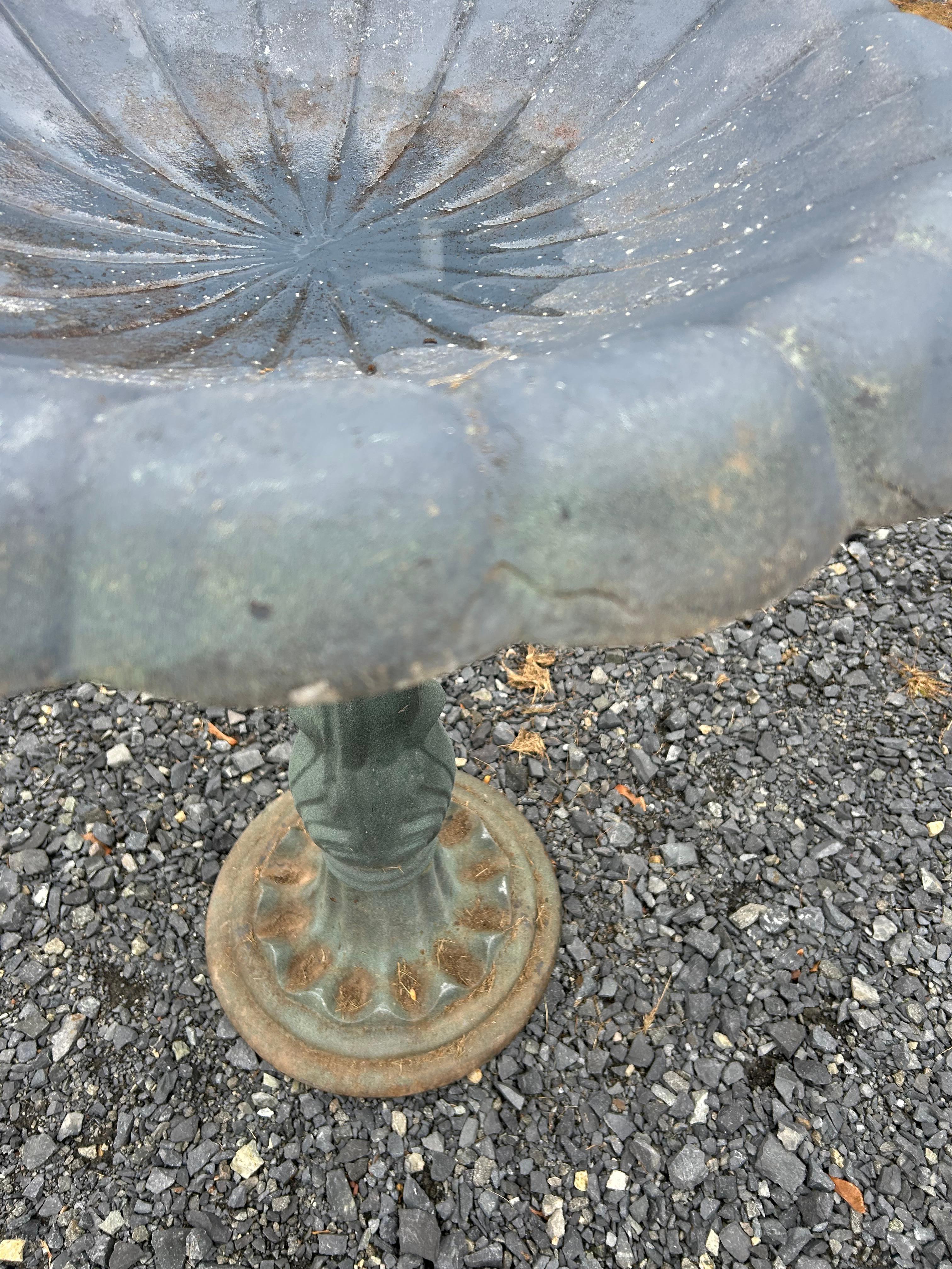 Grande e graziosa vasca per uccelli in ferro e alluminio con piano smerlato e base colonnare patinata e ben decorata.  La parte superiore si stacca per facilitare lo spostamento.

GG