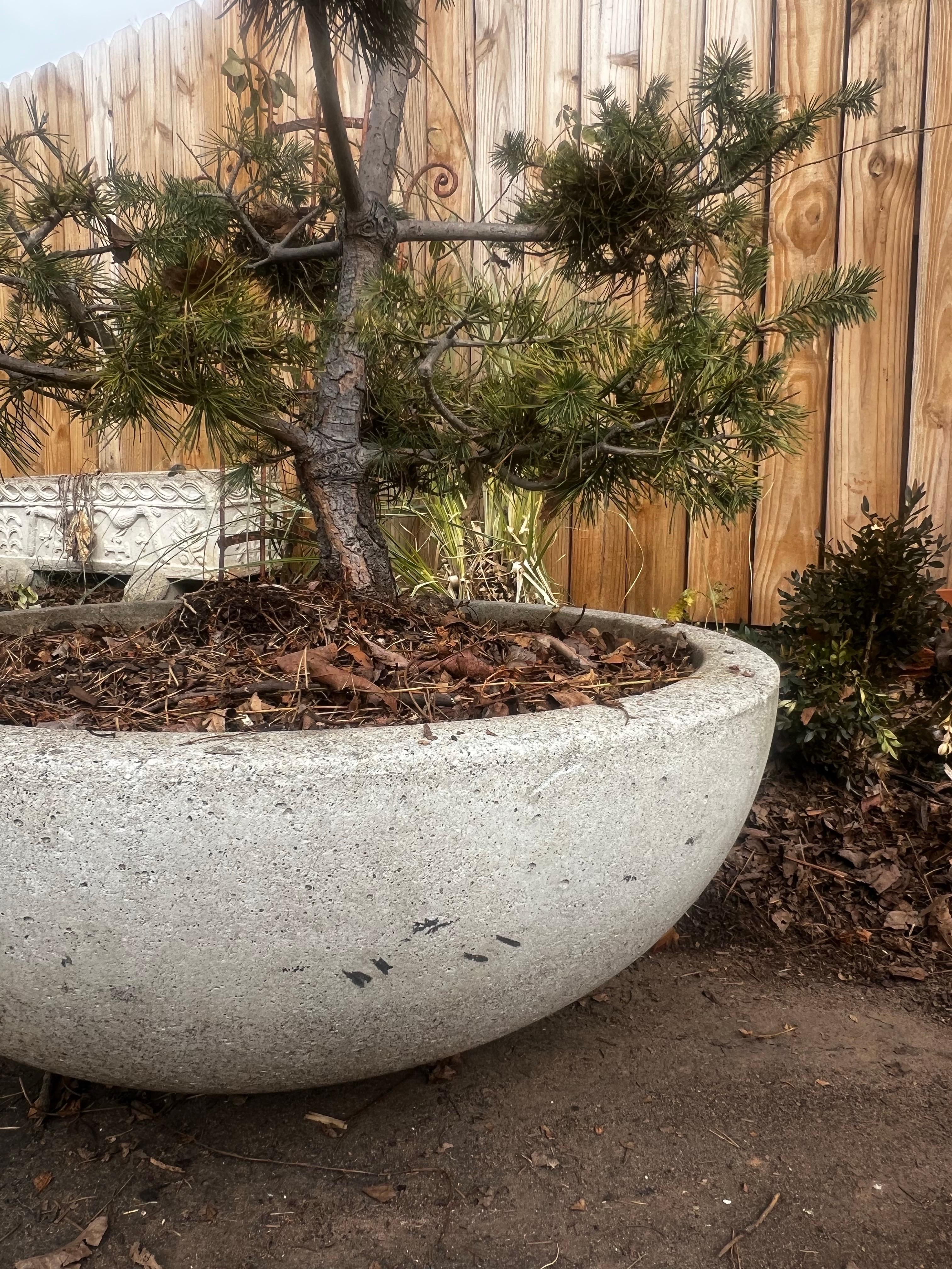 Large Low Modern Stone Planter/Urn/Jardinaire - Willy Guhl Style For Sale 3