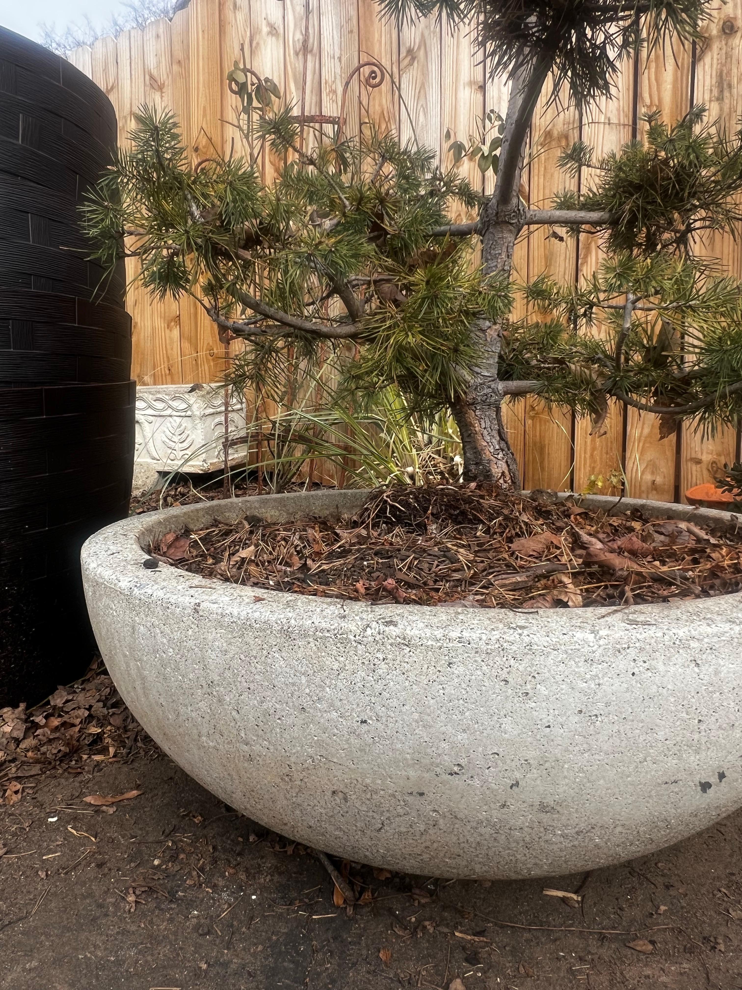 Organic Modern Large Low Modern Stone Planter/Urn/Jardinaire - Willy Guhl Style For Sale