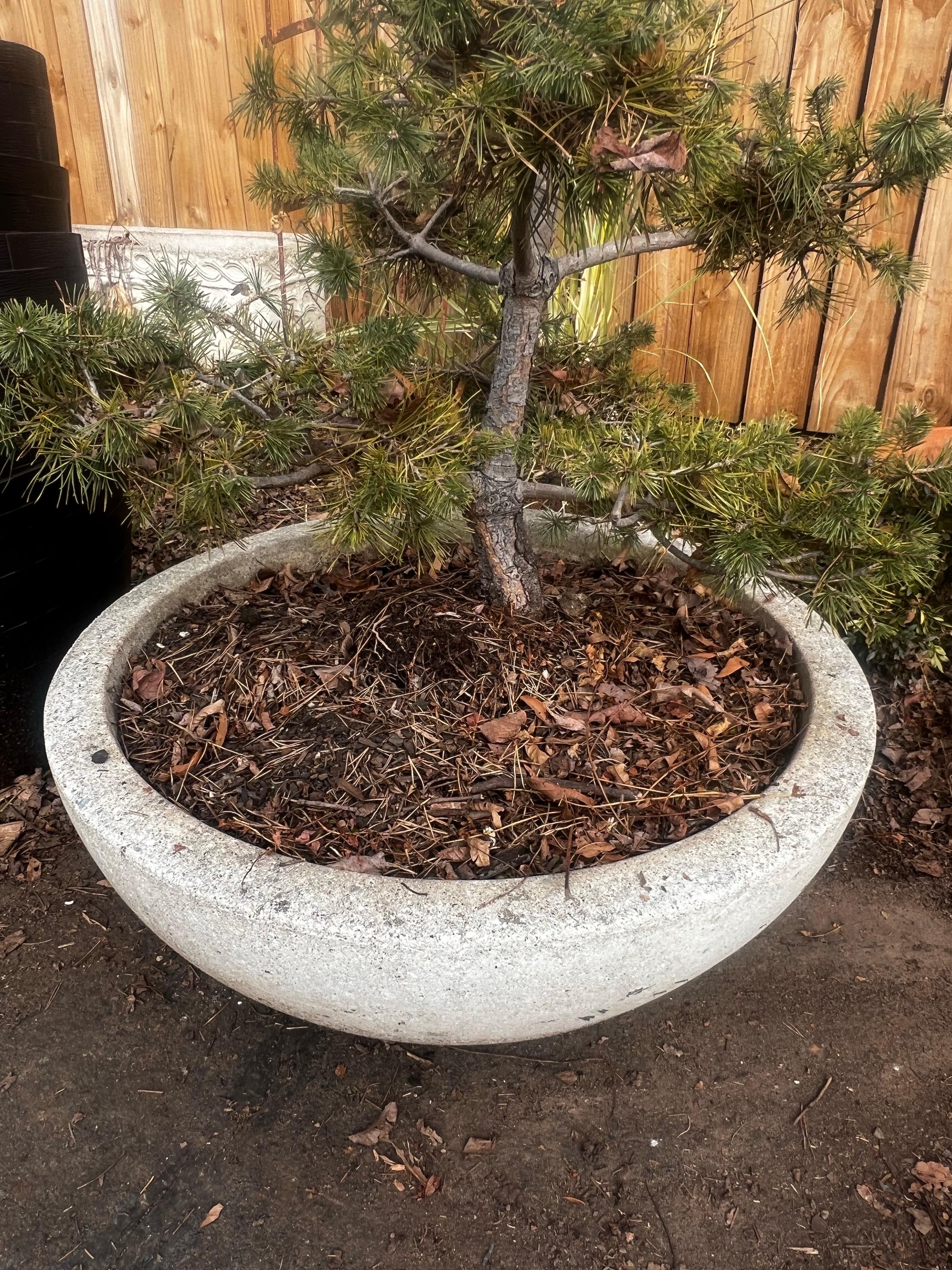 American Large Low Modern Stone Planter/Urn/Jardinaire - Willy Guhl Style For Sale