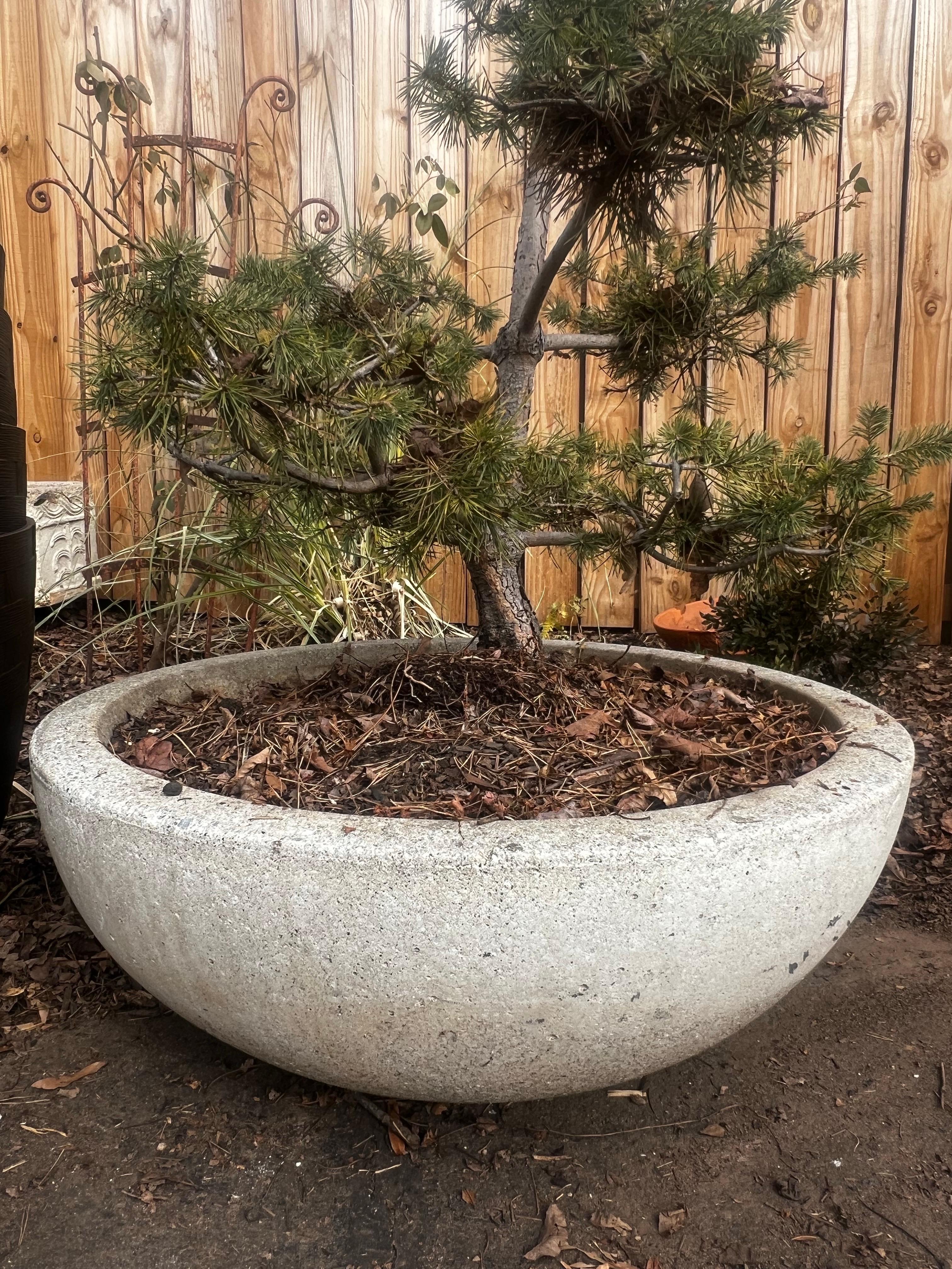 20th Century Large Low Modern Stone Planter/Urn/Jardinaire - Willy Guhl Style For Sale