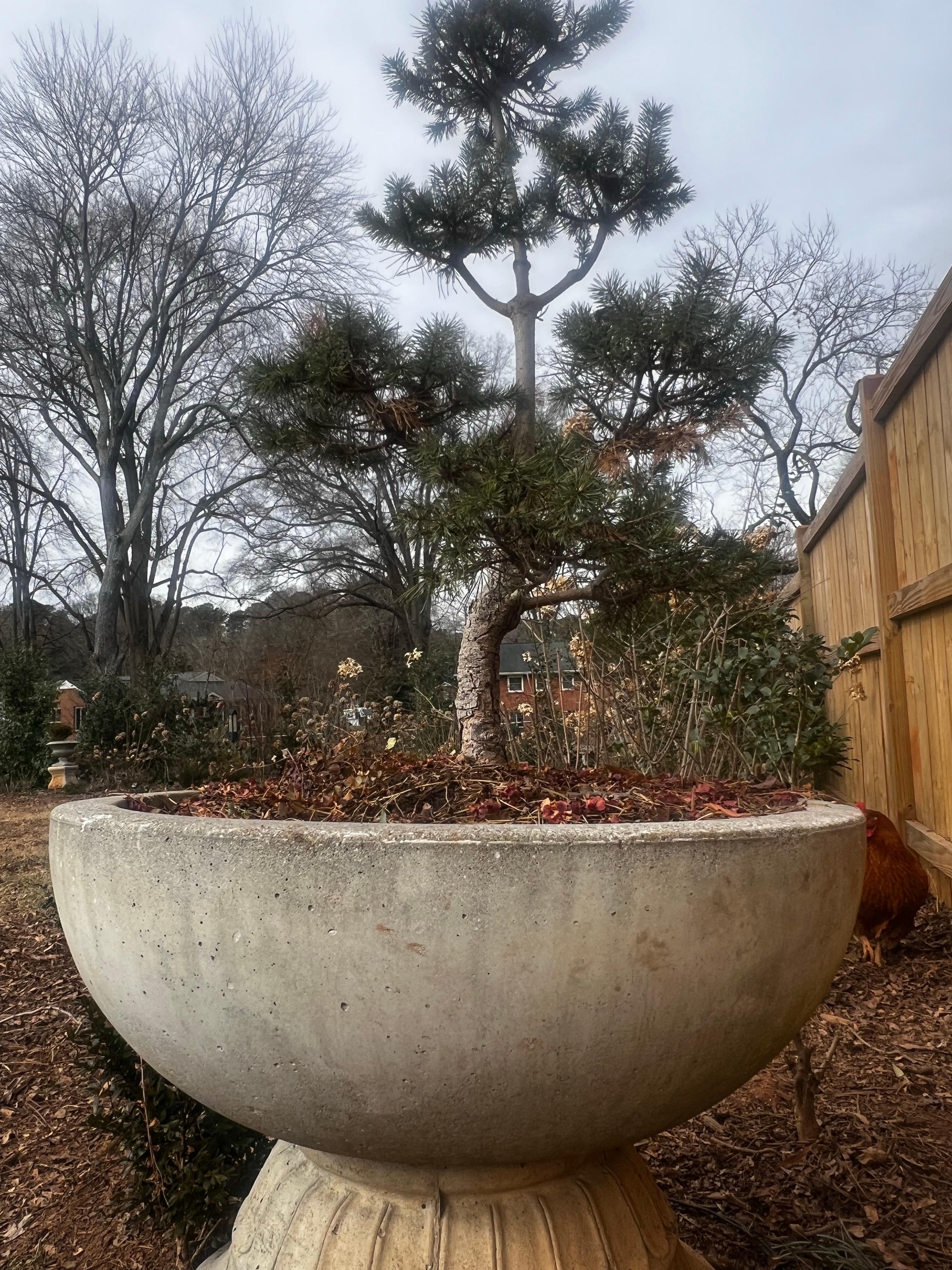Cast Stone Large Low Modern Stone Planter/Urn/Jardinaire - Willy Guhl Style For Sale