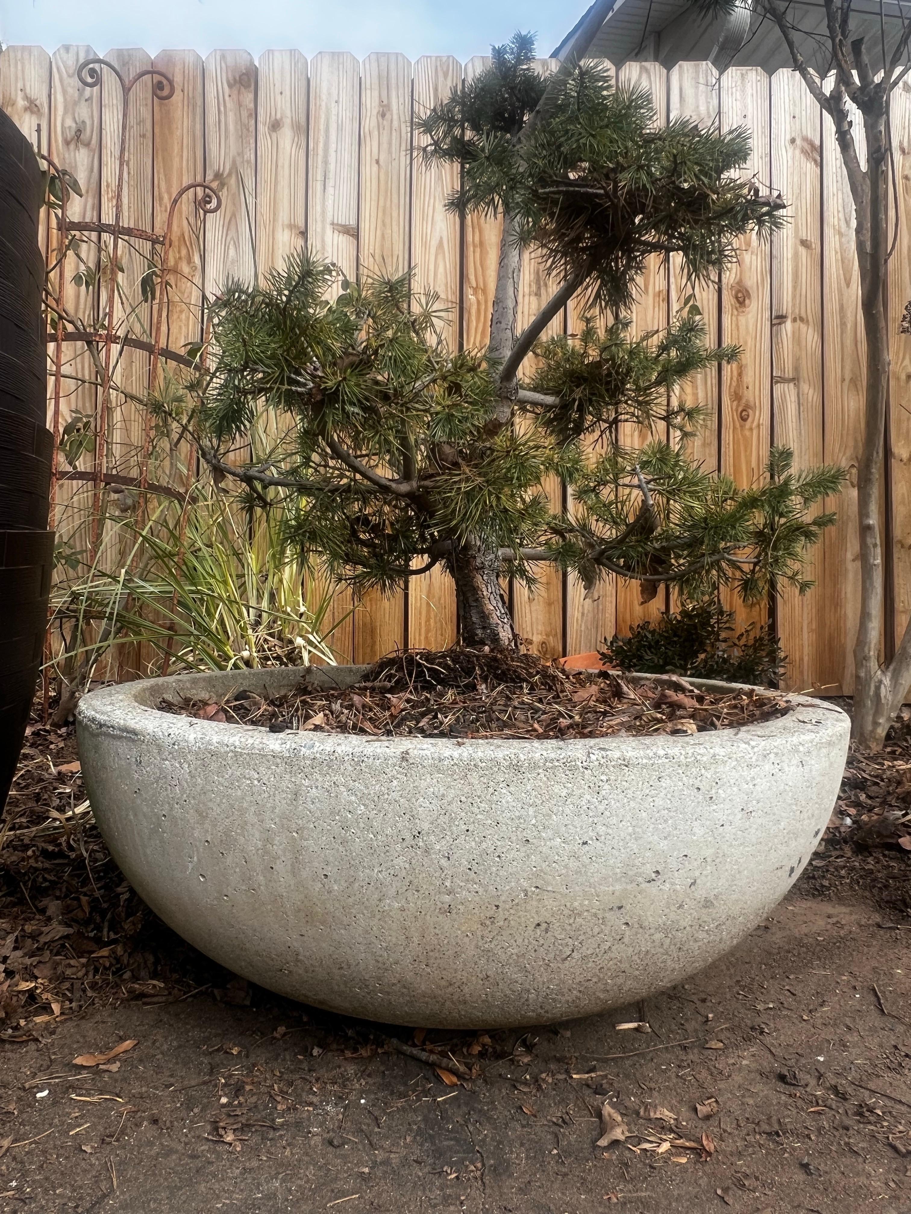 Large Low Modern Stone Planter/Urn/Jardinaire - Willy Guhl Style For Sale 1