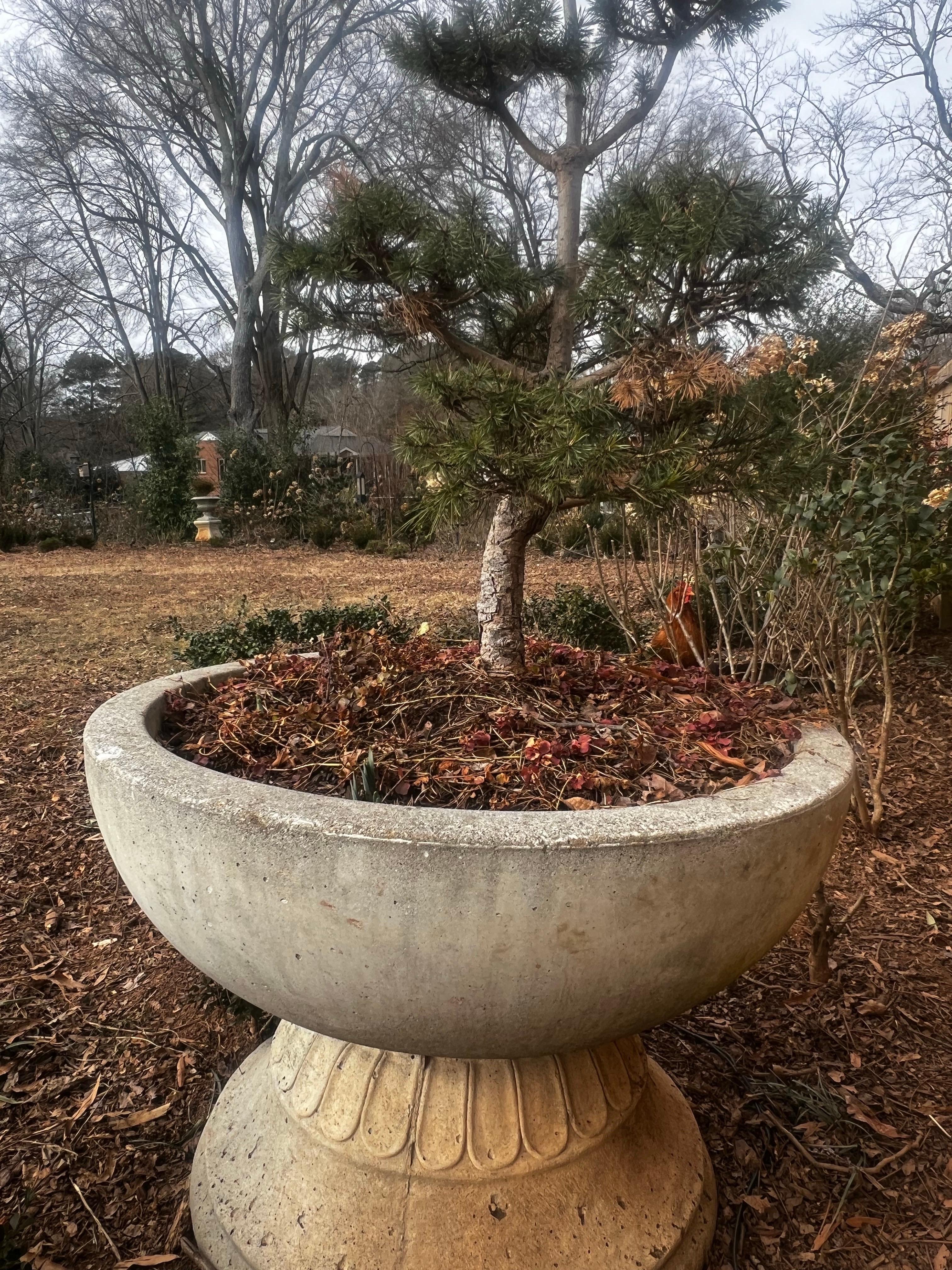 Large Low Modern Stone Planter/Urn/Jardinaire - Willy Guhl Style For Sale 2