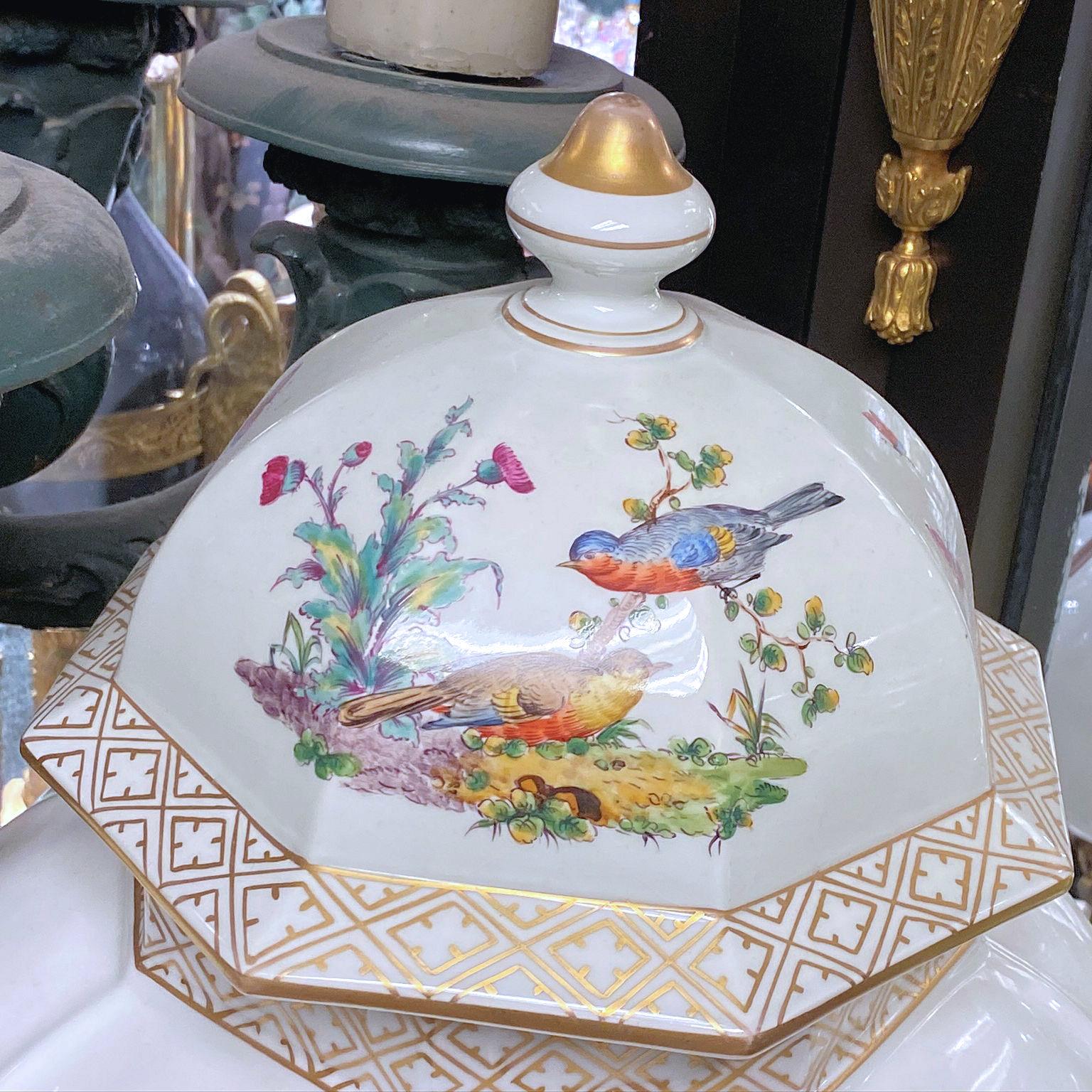 Glazed Large Ludwigsburg Bird Motif German Porcelain Vase and Cover For Sale