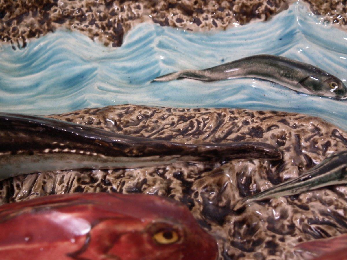 Large Luneville Palissy Majolica Fish Platter For Sale 10