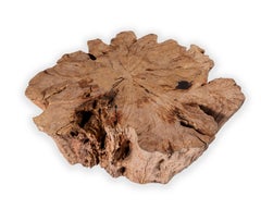 Large Lychee Wood Organic Form Coffee Table