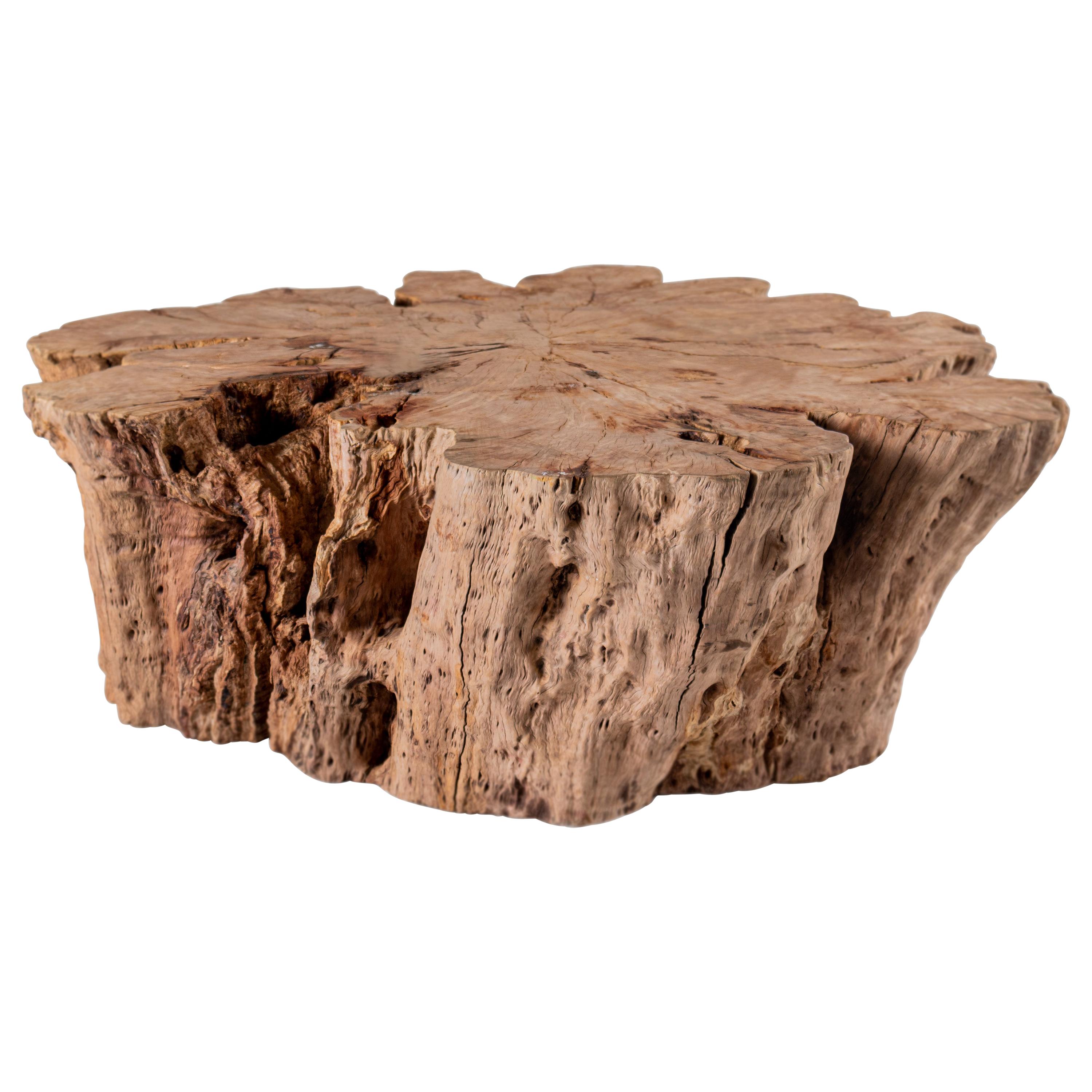 Large Lychee Wood Organic Form Coffee Table