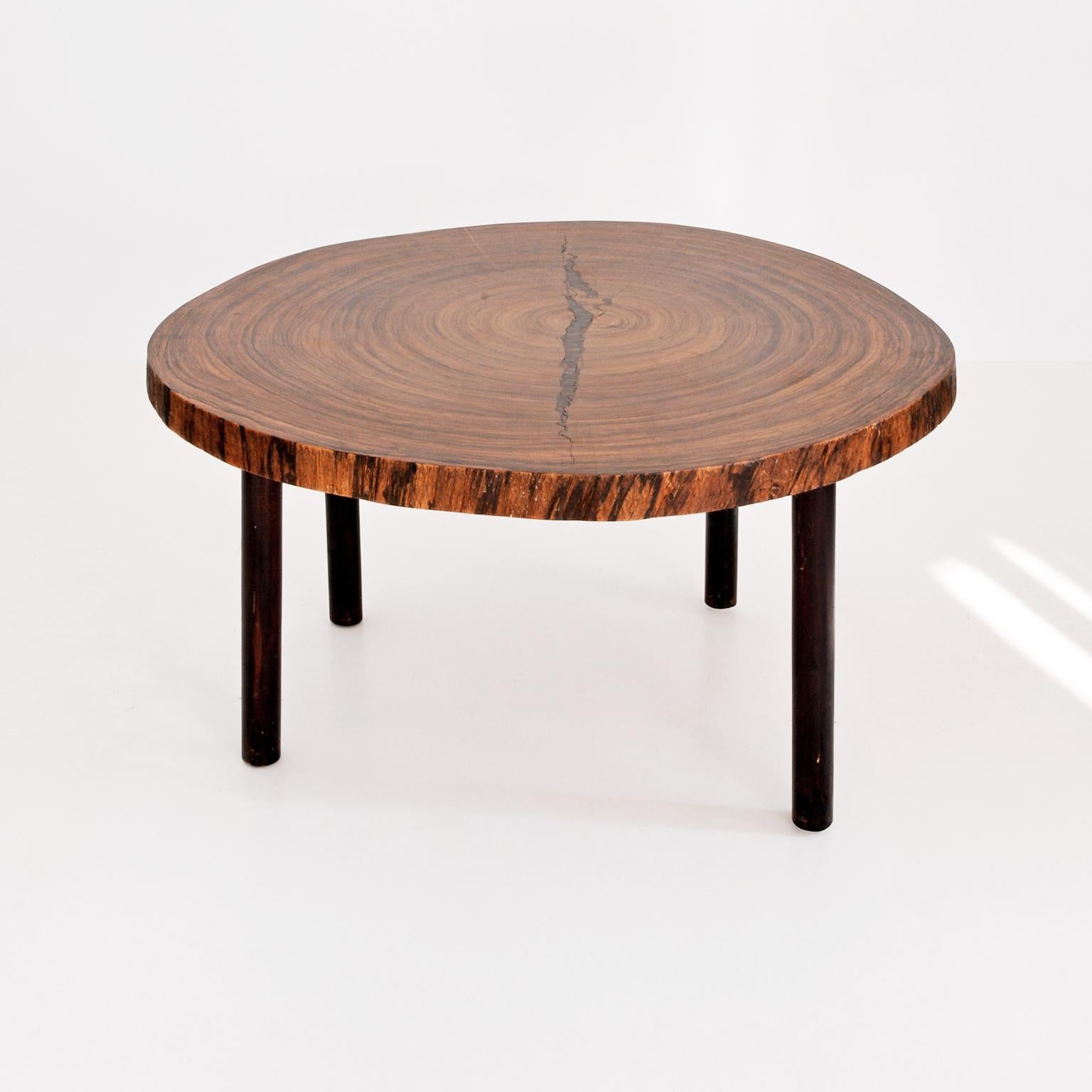 European Large Macassar Ebony Tree Trunk Couch Table with Polished Surface, C. 1960 For Sale
