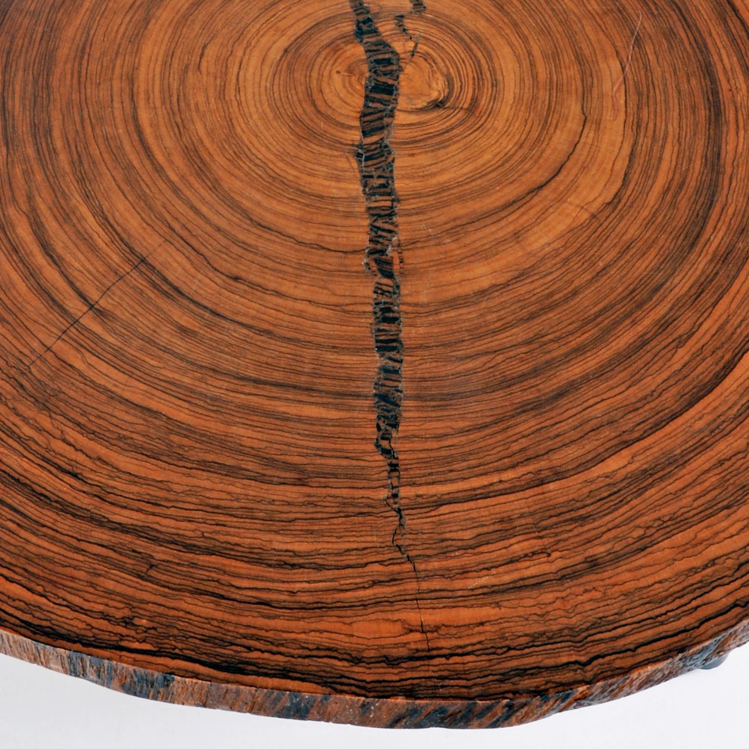 Mid-20th Century Large Macassar Ebony Tree Trunk Couch Table with Polished Surface, C. 1960 For Sale