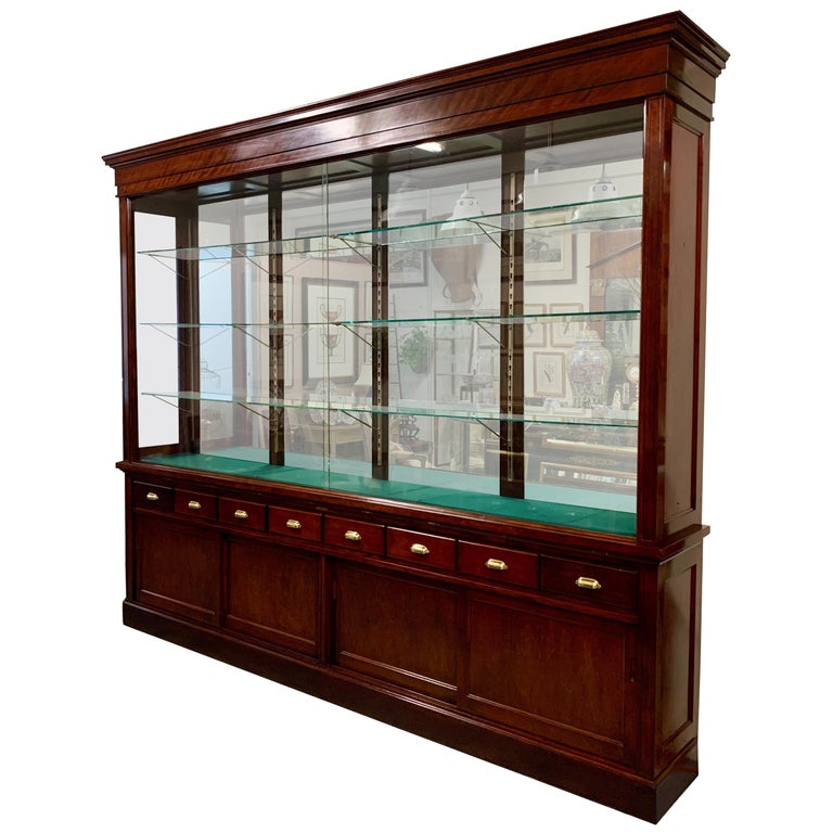 Large Mahogany Display For Sale at 1stdibs