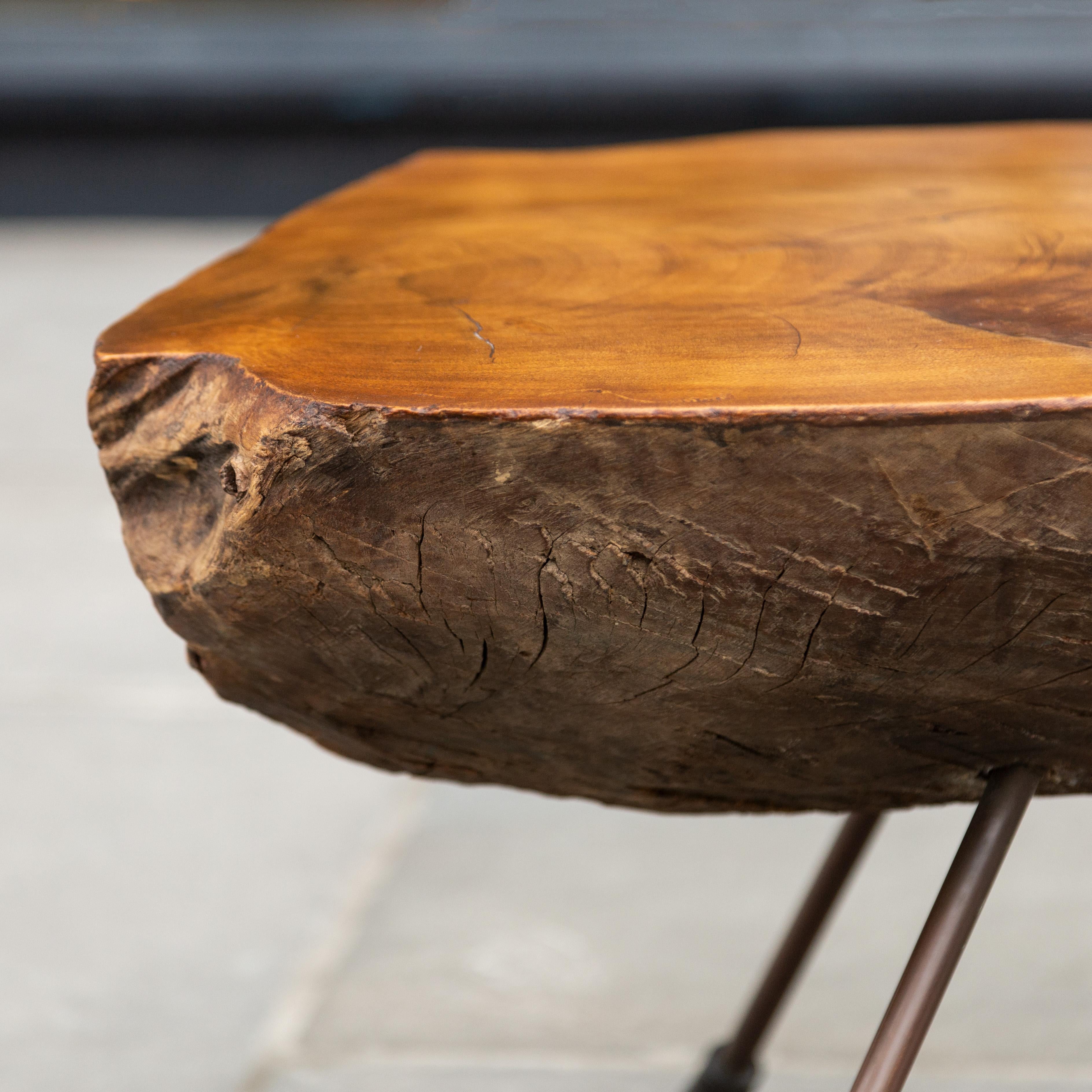 tree trunk desk