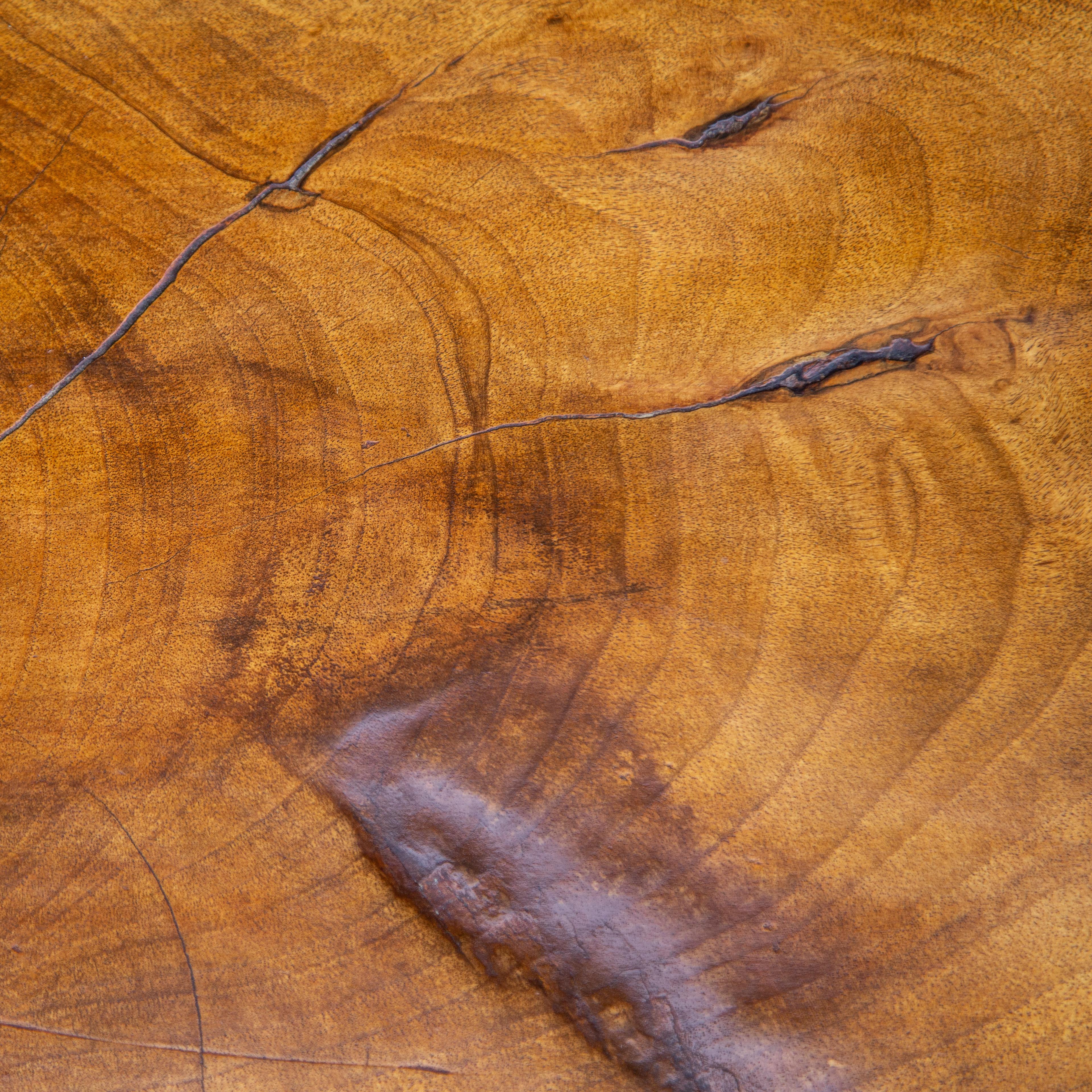 Mid-Century Modern Large Mahogany Tree Trunk Table, Carl Auböck, 1940s For Sale