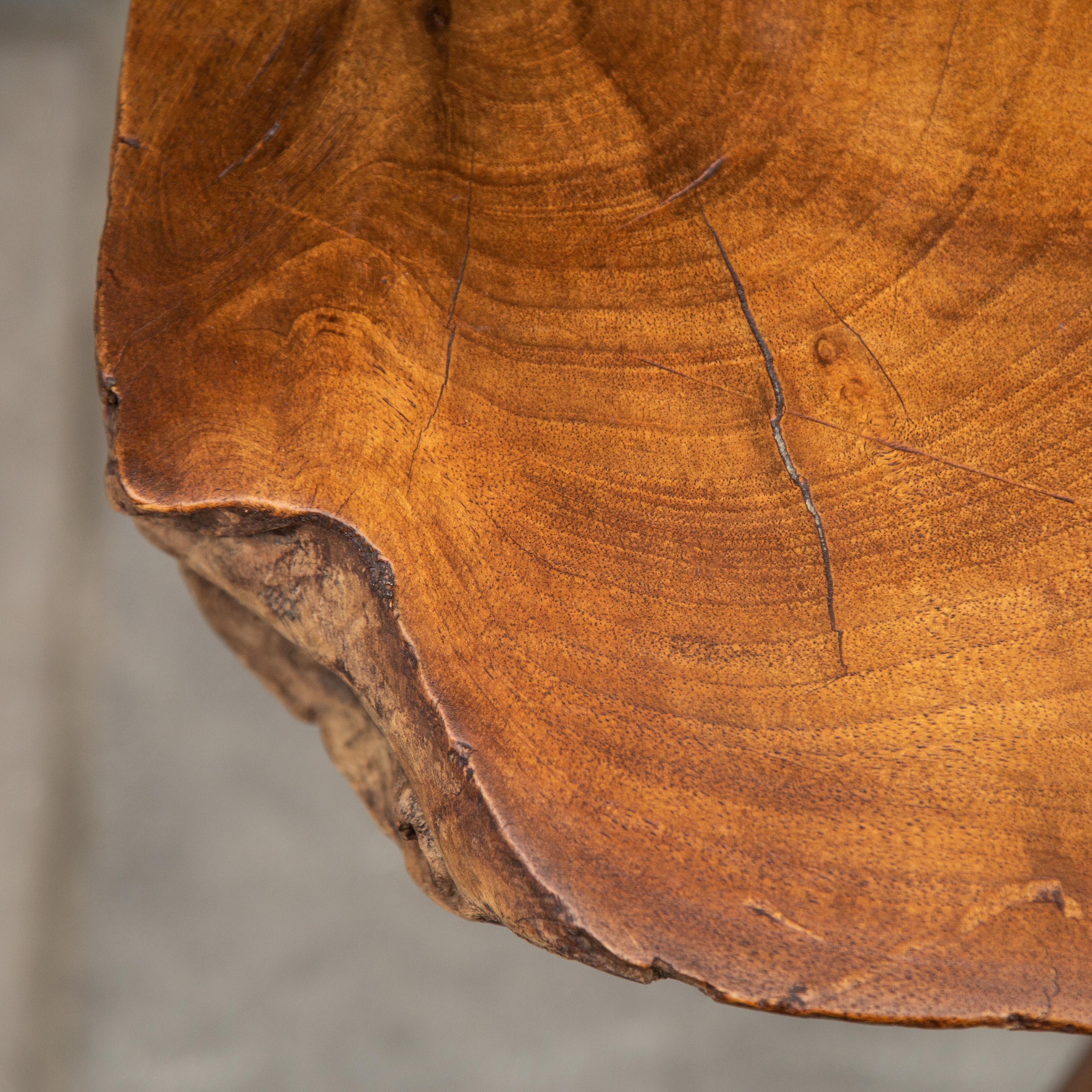 Large Mahogany Tree Trunk Table, Carl Auböck, 1940s In Good Condition For Sale In London, GB